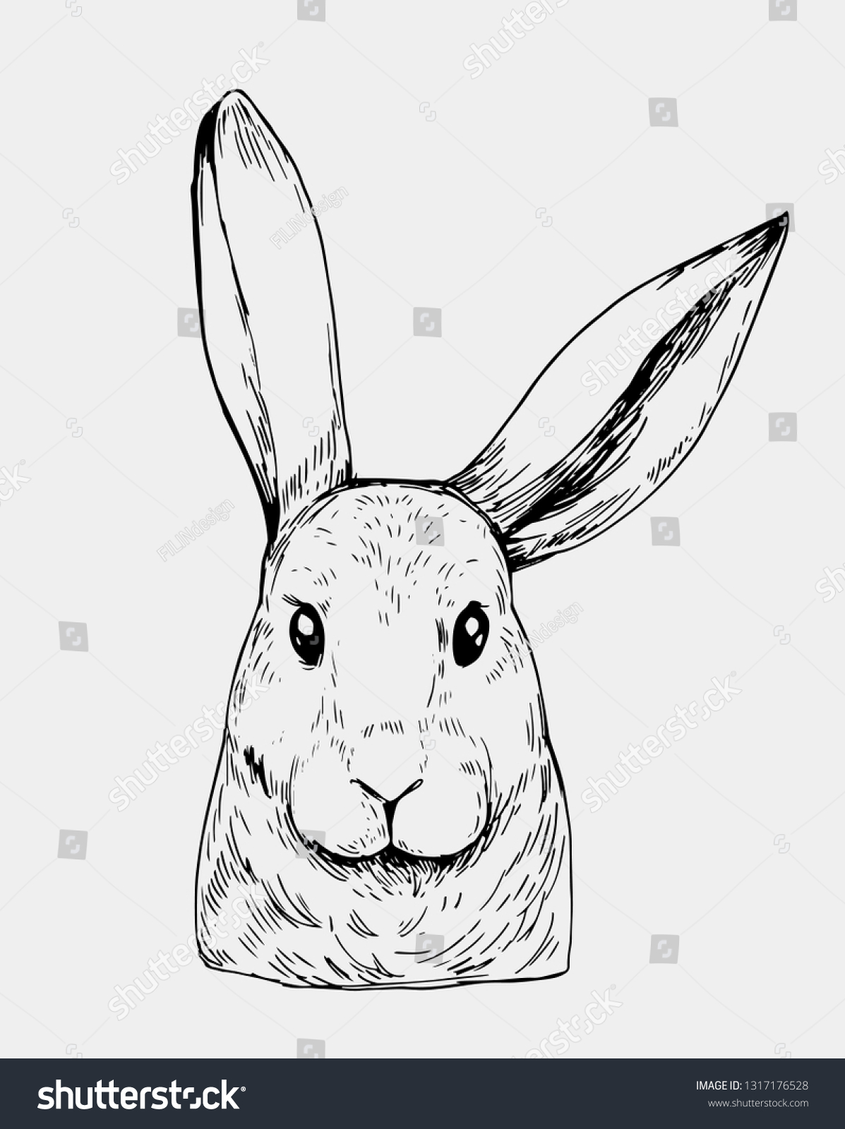 Sketch Hares Head Vector Illustration Stock Vector (Royalty Free ...