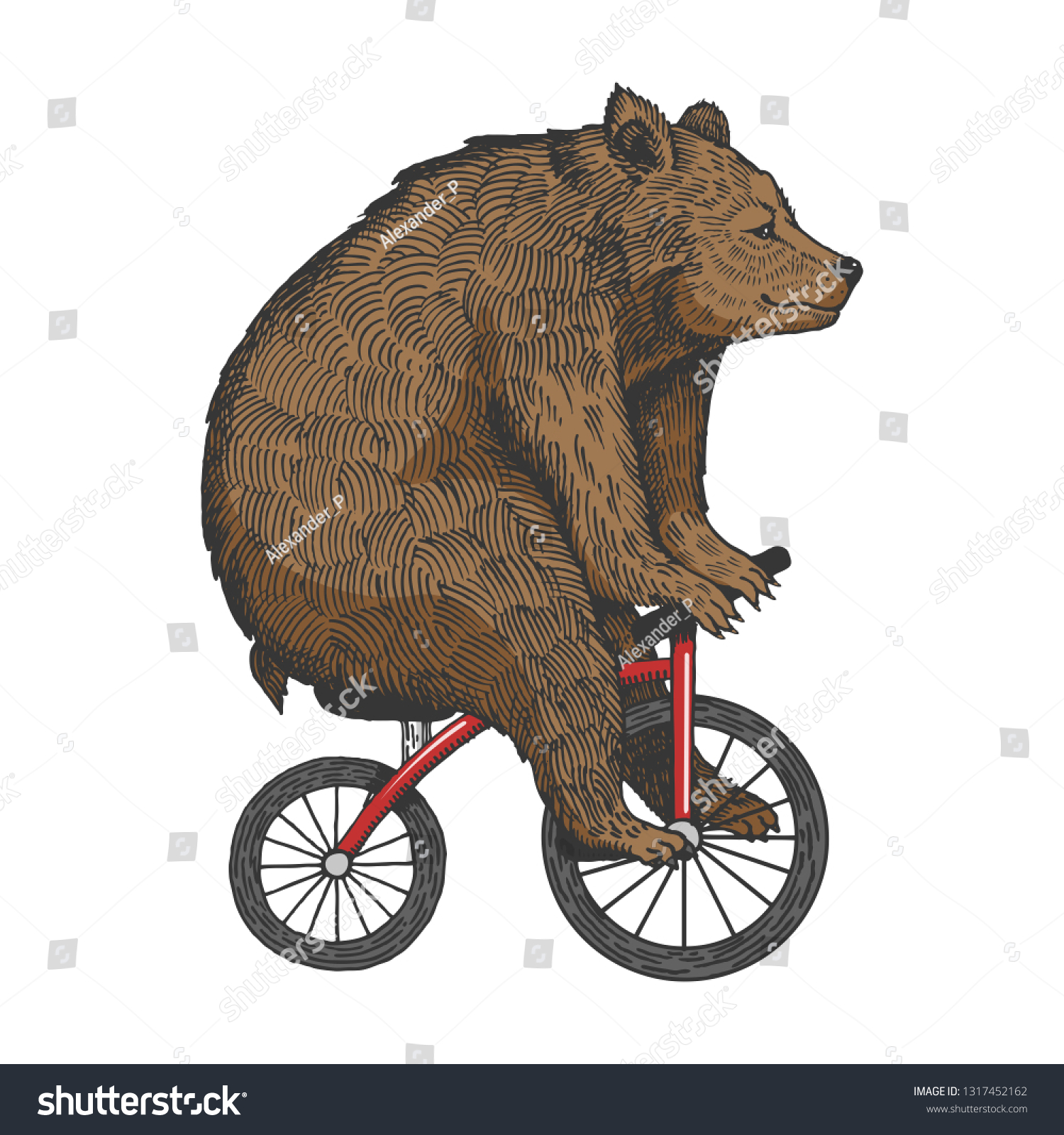 Circus Bear On Bicycle Sketch Engraving Stock Vector (Royalty Free ...