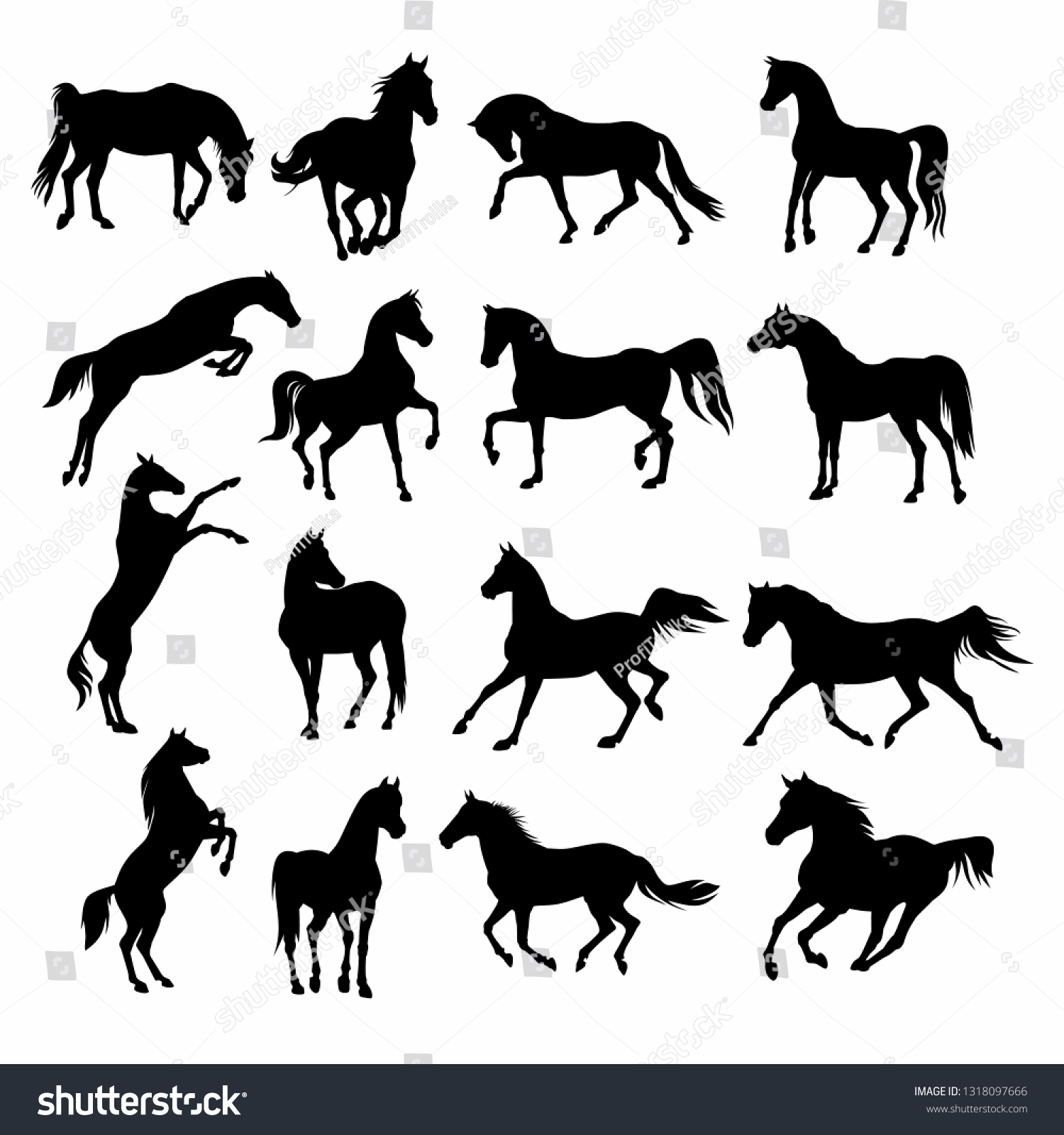 Horses Animal Black Silhouettes Equine Vector Stock Vector (royalty 