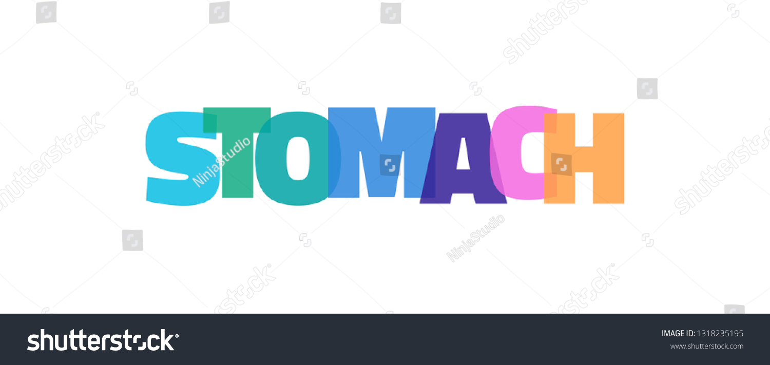 stomach-word-concept-stomach-on-white-stock-vector-royalty-free