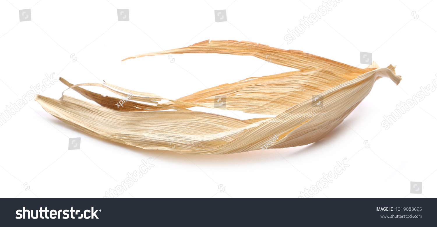 Dry Wilted Corn Maize Leaves Isolated Stock Photo 1319088695 | Shutterstock