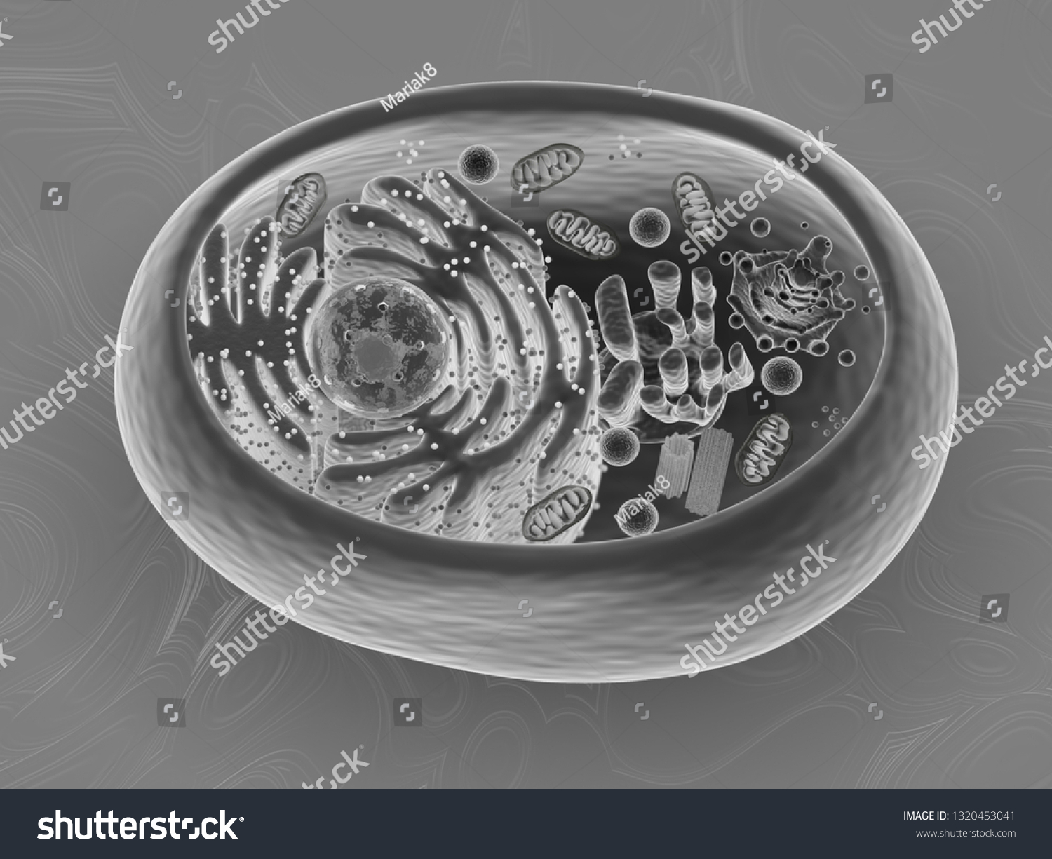 animal cell electron microscope