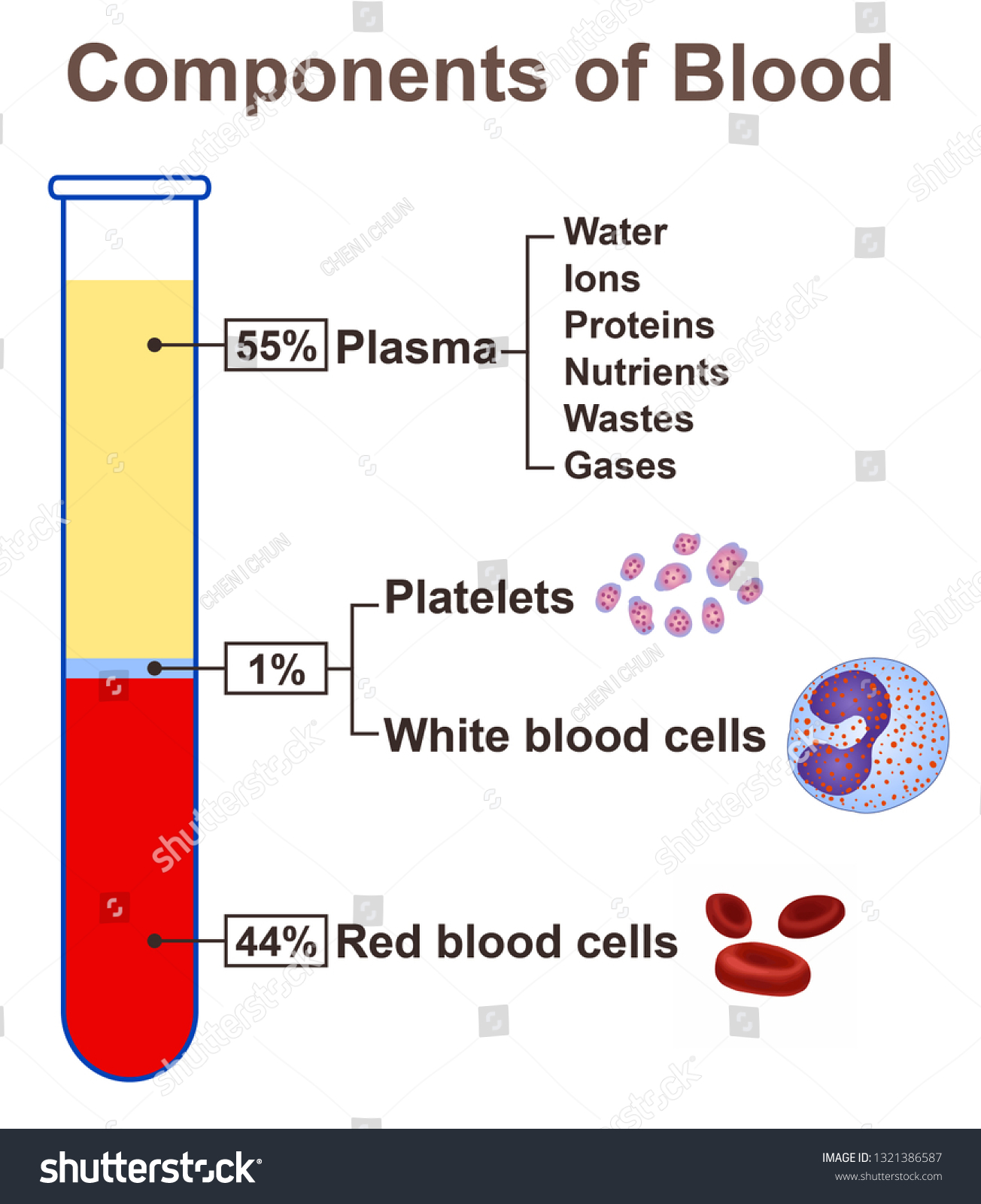 1-269-blood-components-images-stock-photos-vectors-shutterstock