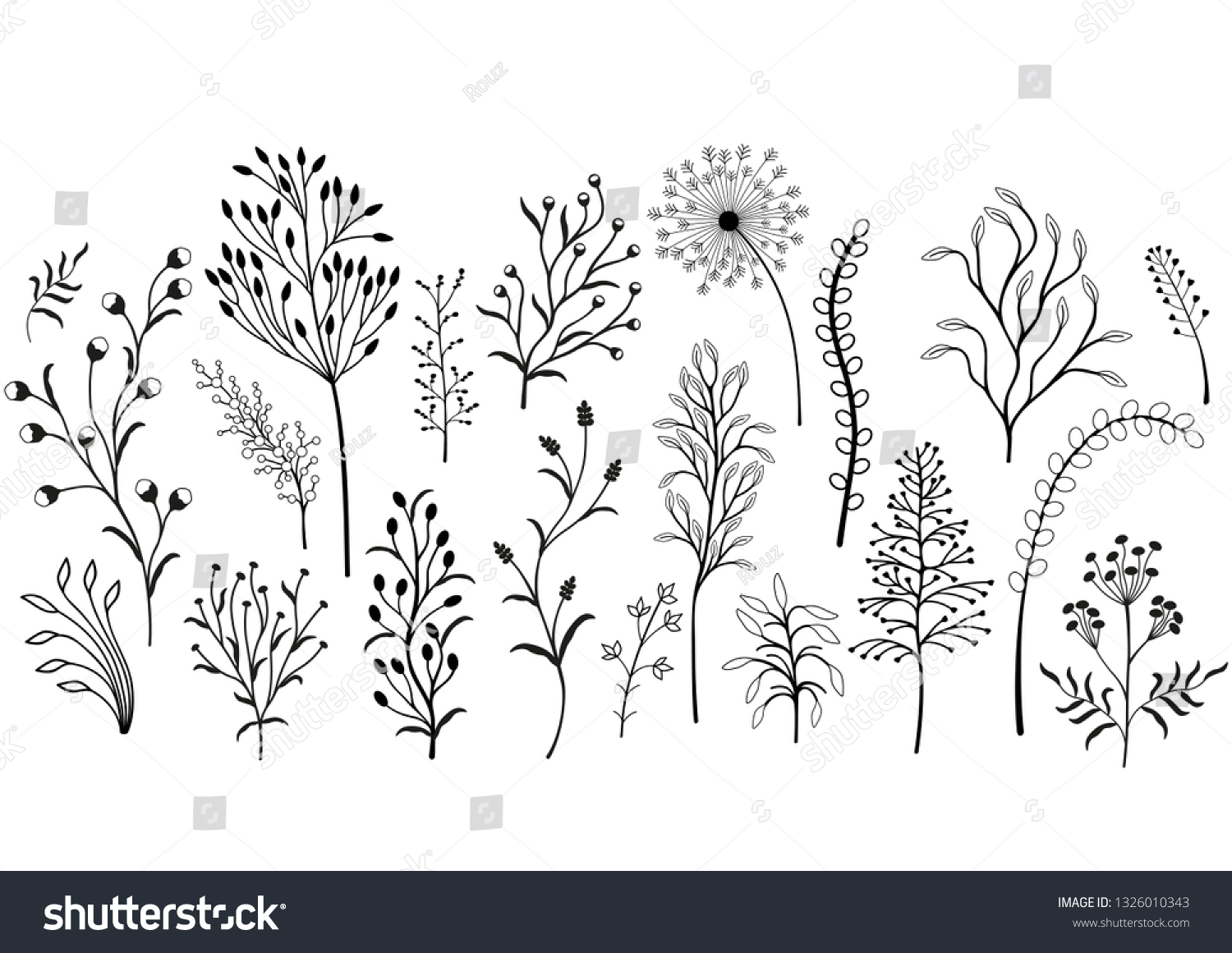 Set Wild Plants Black White Illustration Stock Vector (Royalty Free ...