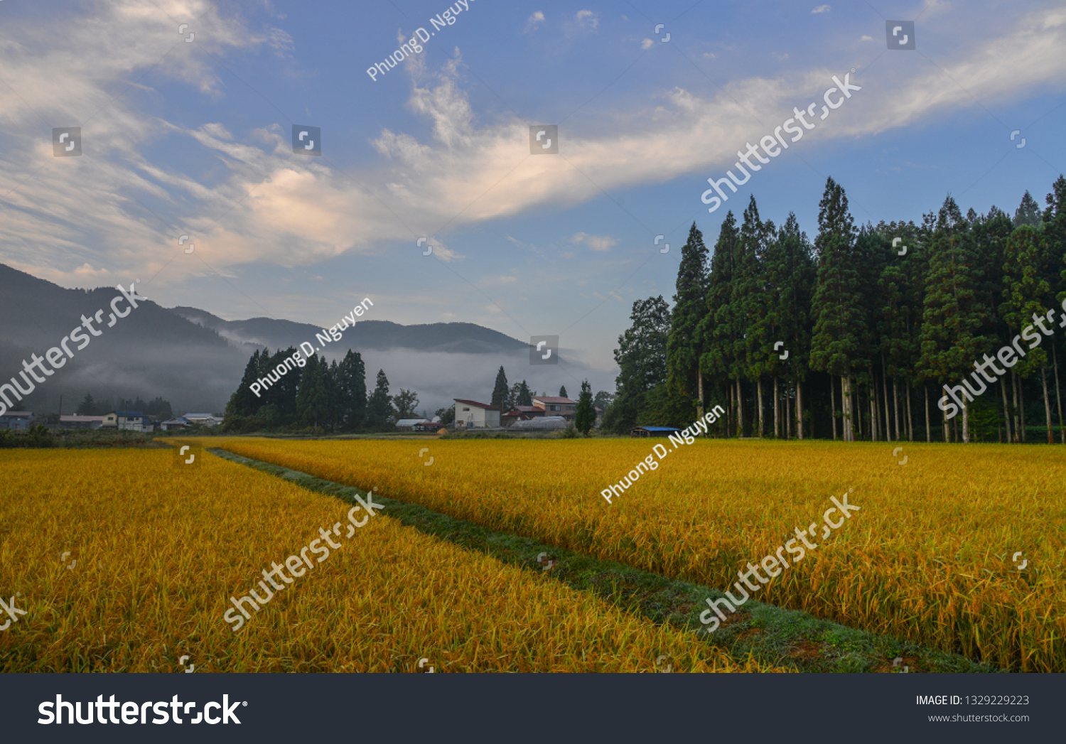 Beautiful Rice Field Akita Japan Akita Stock Photo 1329229223 ...