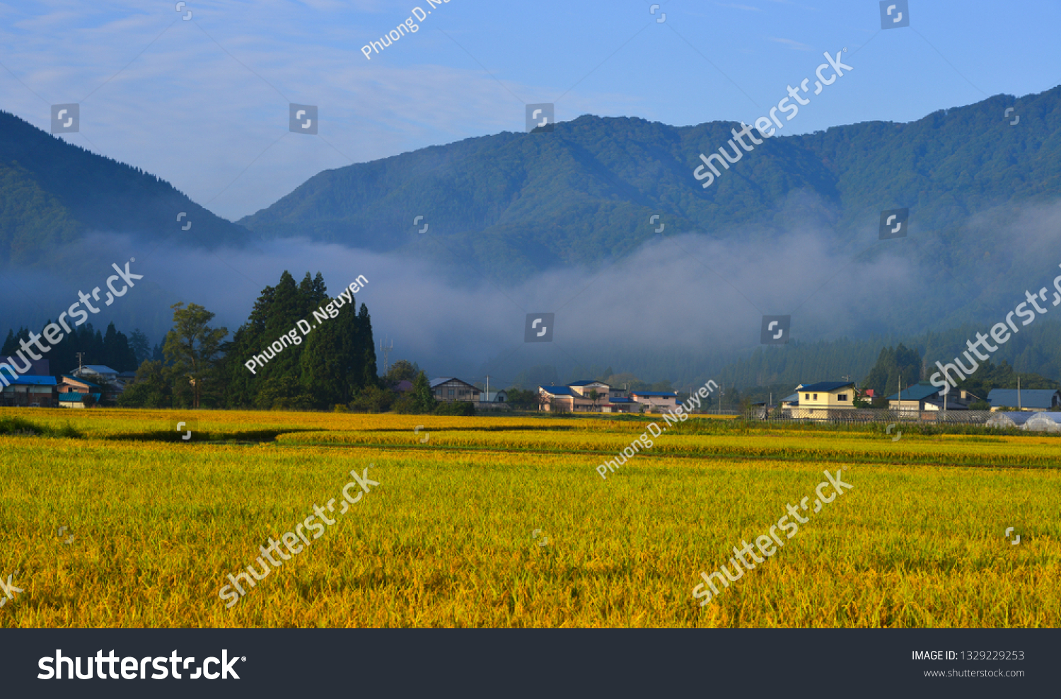 Beautiful Rice Field Akita Japan Akita Stock Photo 1329229253