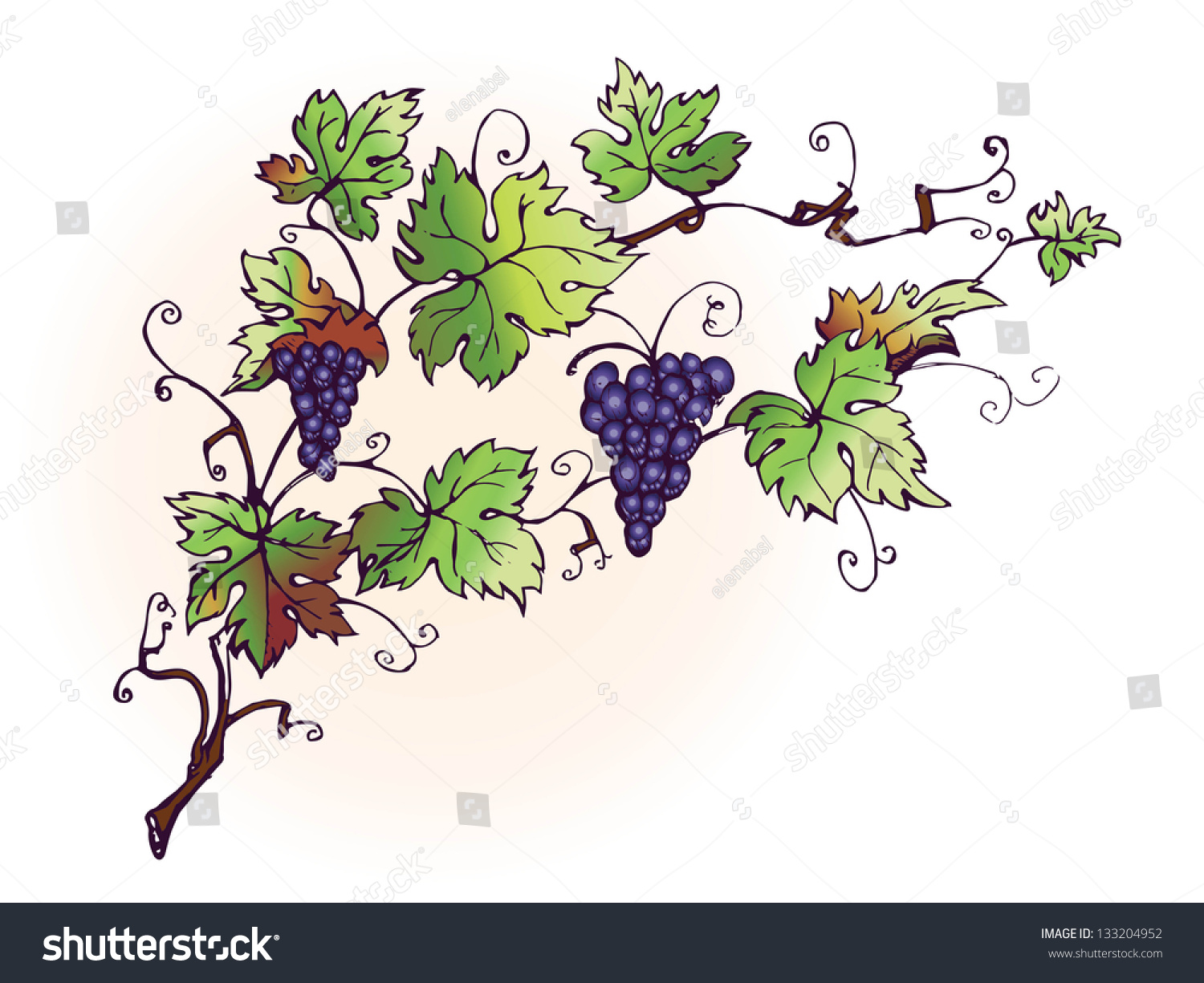 Виноградная лоза орнамент цветной