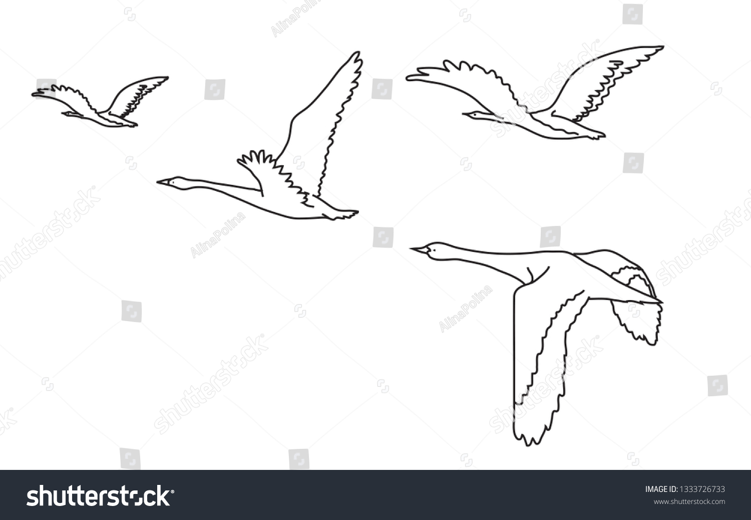 Контур улетающих птиц