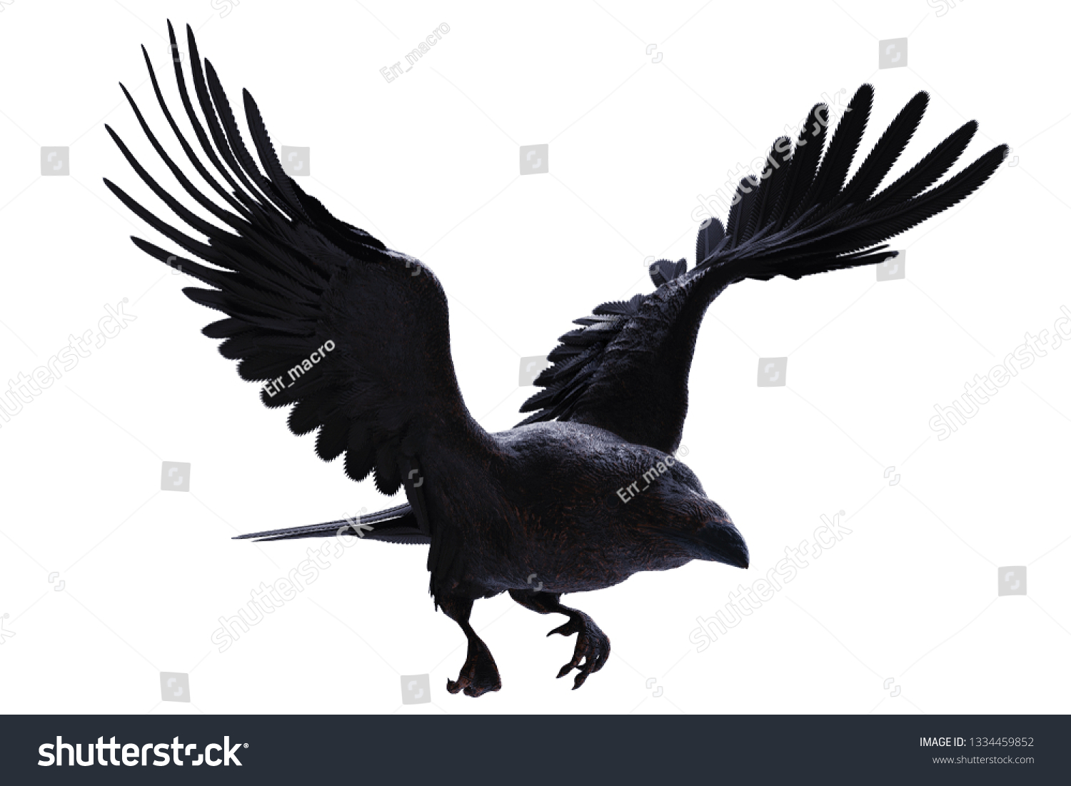 Black Raven Flying On White Background Stock Illustration 1334459852 ...