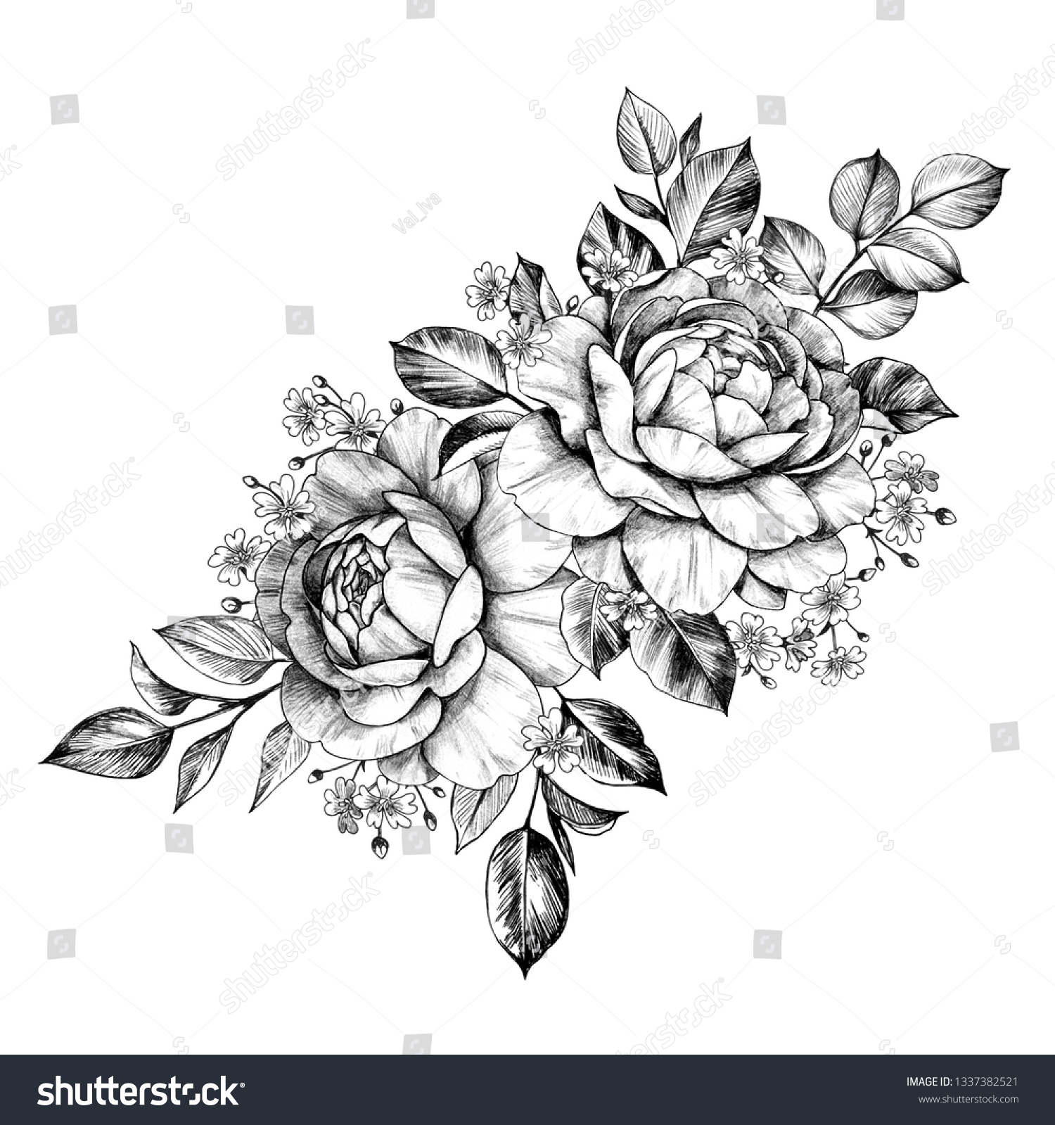 Hand Drawn Bunch Rose Flowers Small Stock Illustration 1337382521 