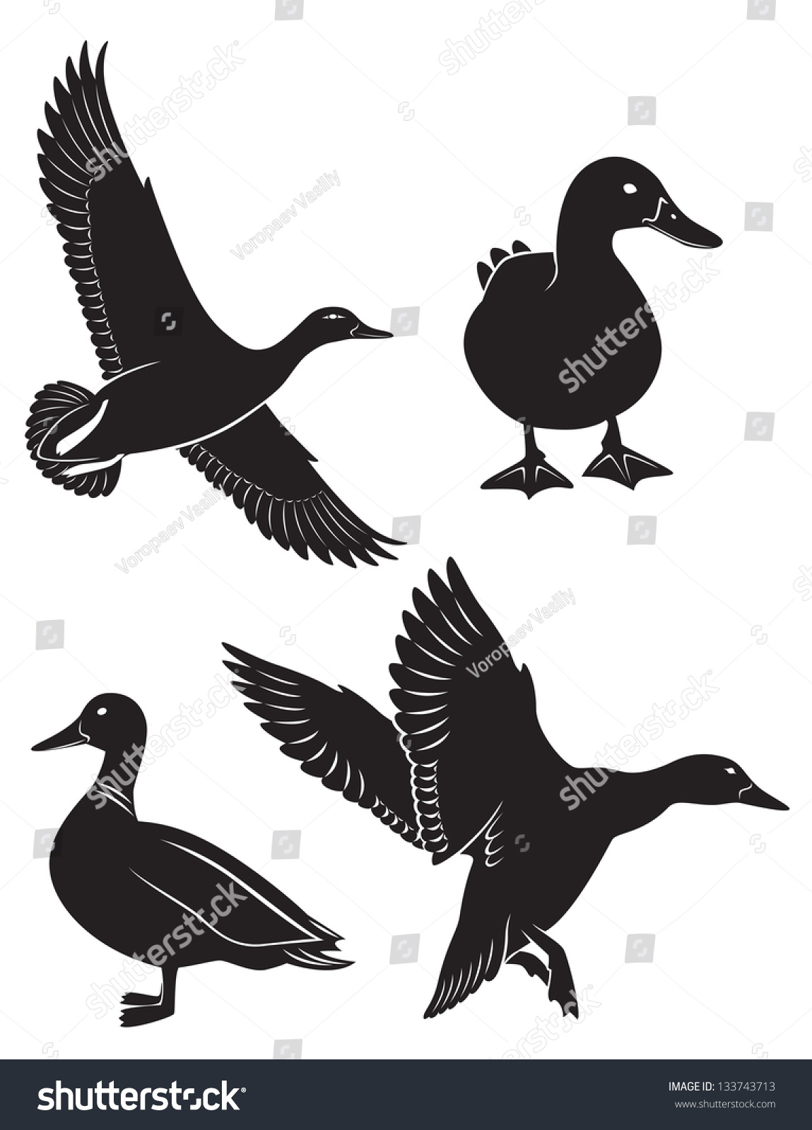 Figure Shows Duck Stock Vector (Royalty Free) 133743713 | Shutterstock