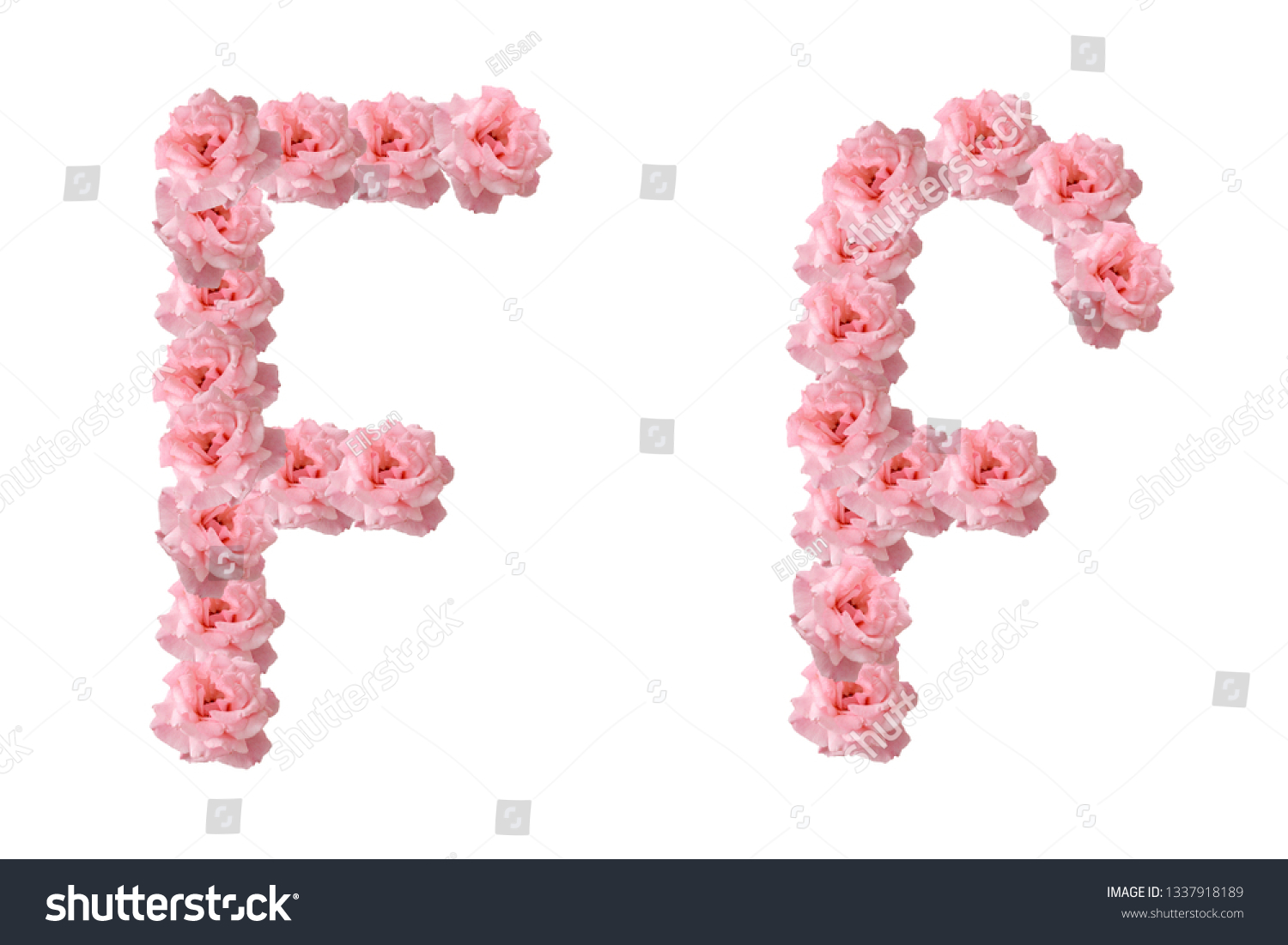 English Alphabet Flowers Pink Roses Letter Stock Photo 1337918189 ...