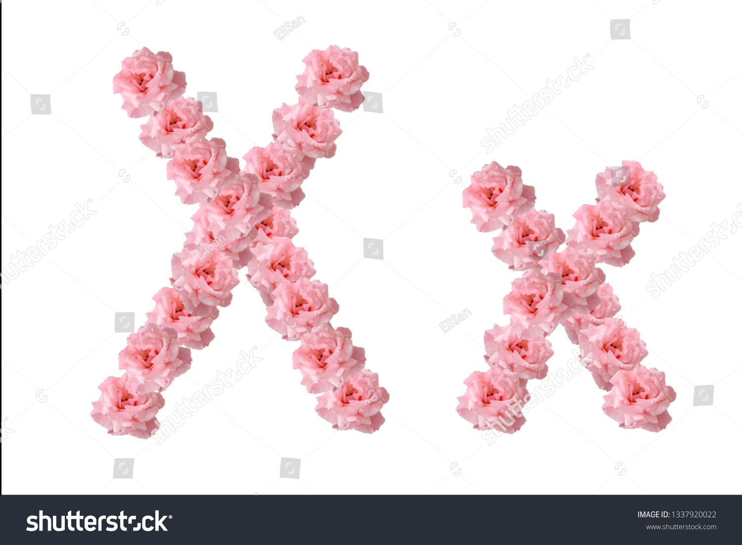 English Alphabet Flowers Pink Roses Letter Stock Photo 1337920022 ...