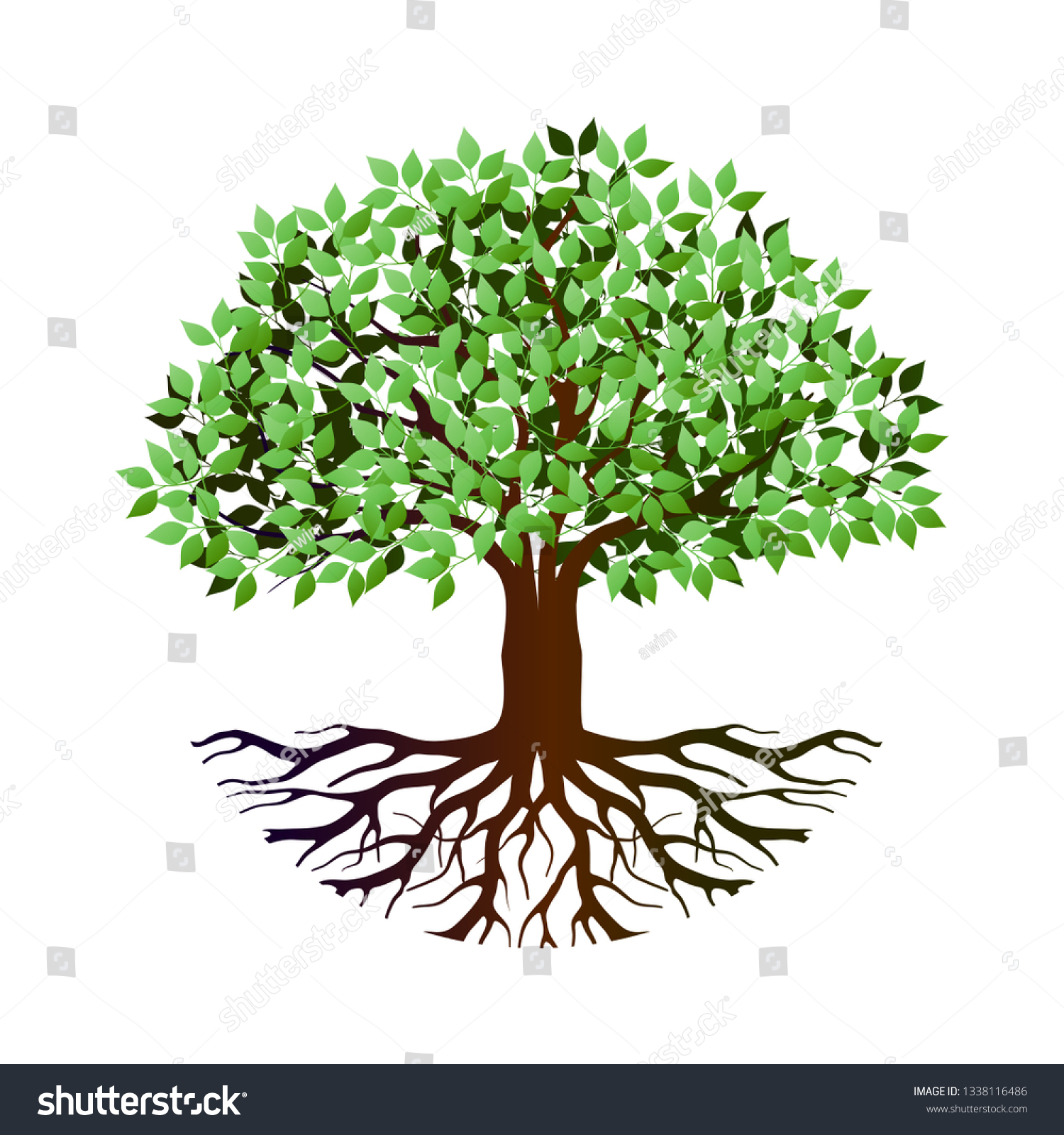 Tree Roots Vector Tree Round Shape Stock Vector (Royalty Free ...