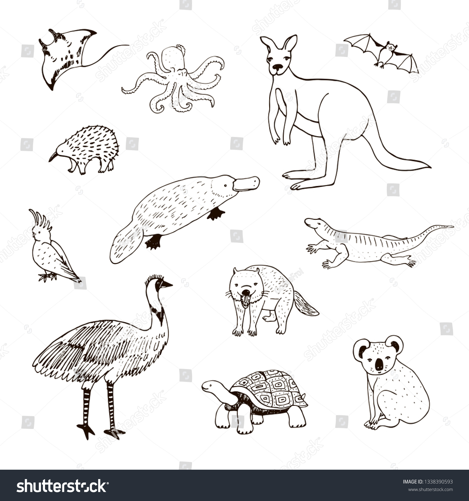 Australian Animals Line Illustrations Set Stock Illustration 1338390593 ...