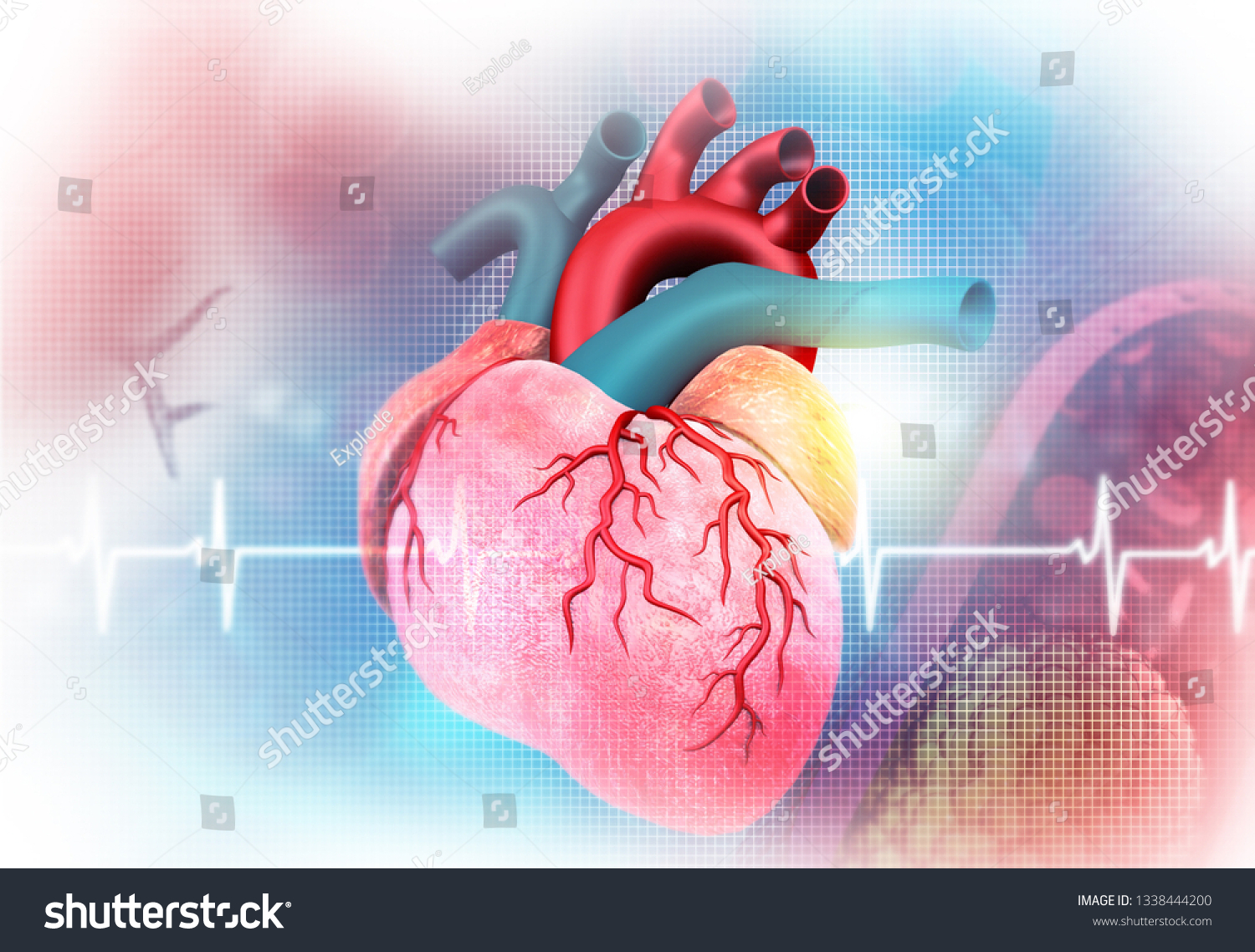 Human Heart Ekg Ecg Graph 3d Stock Illustration 1338444200 | Shutterstock