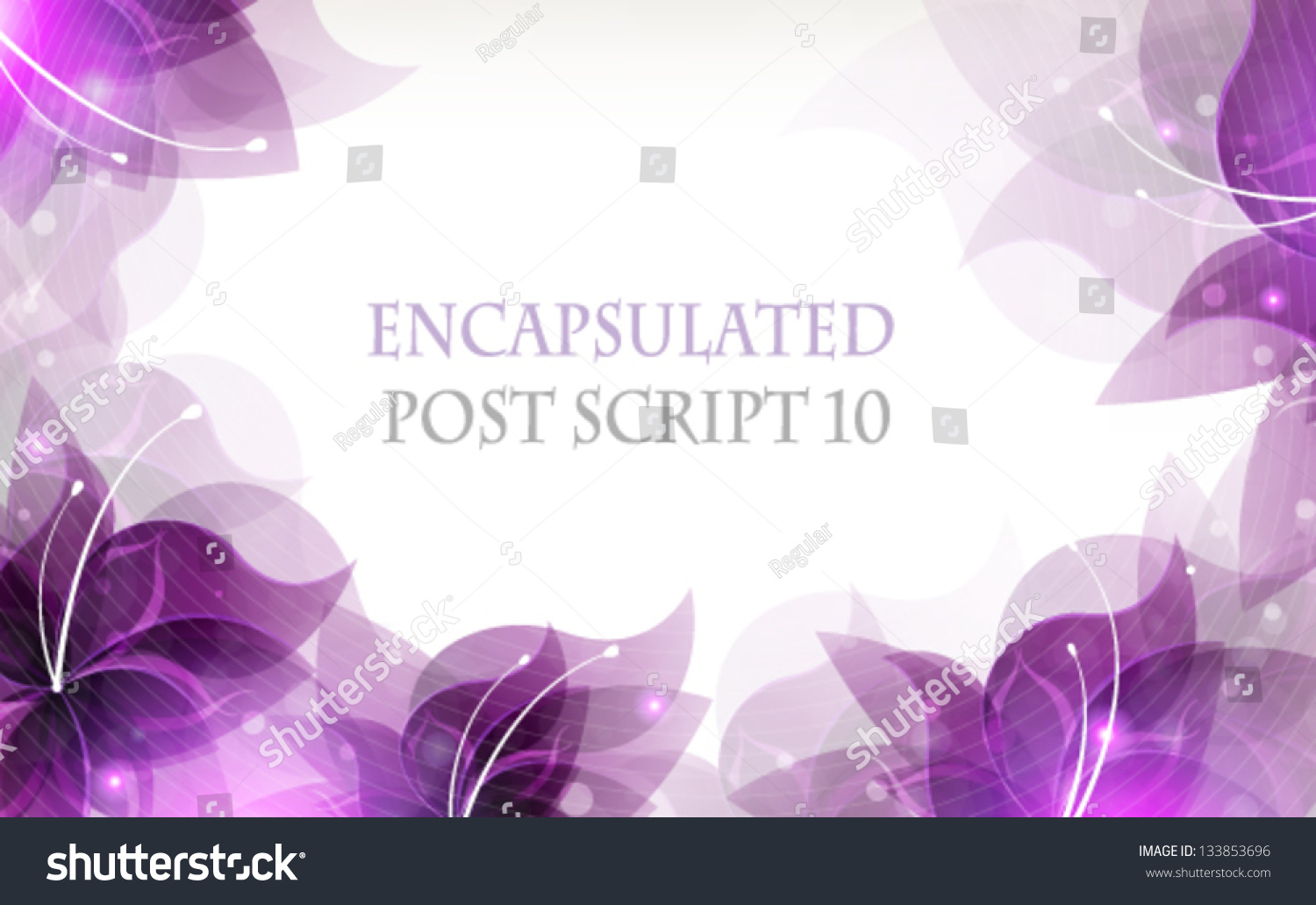 Красивые фиолетовые рамки на белом фоне