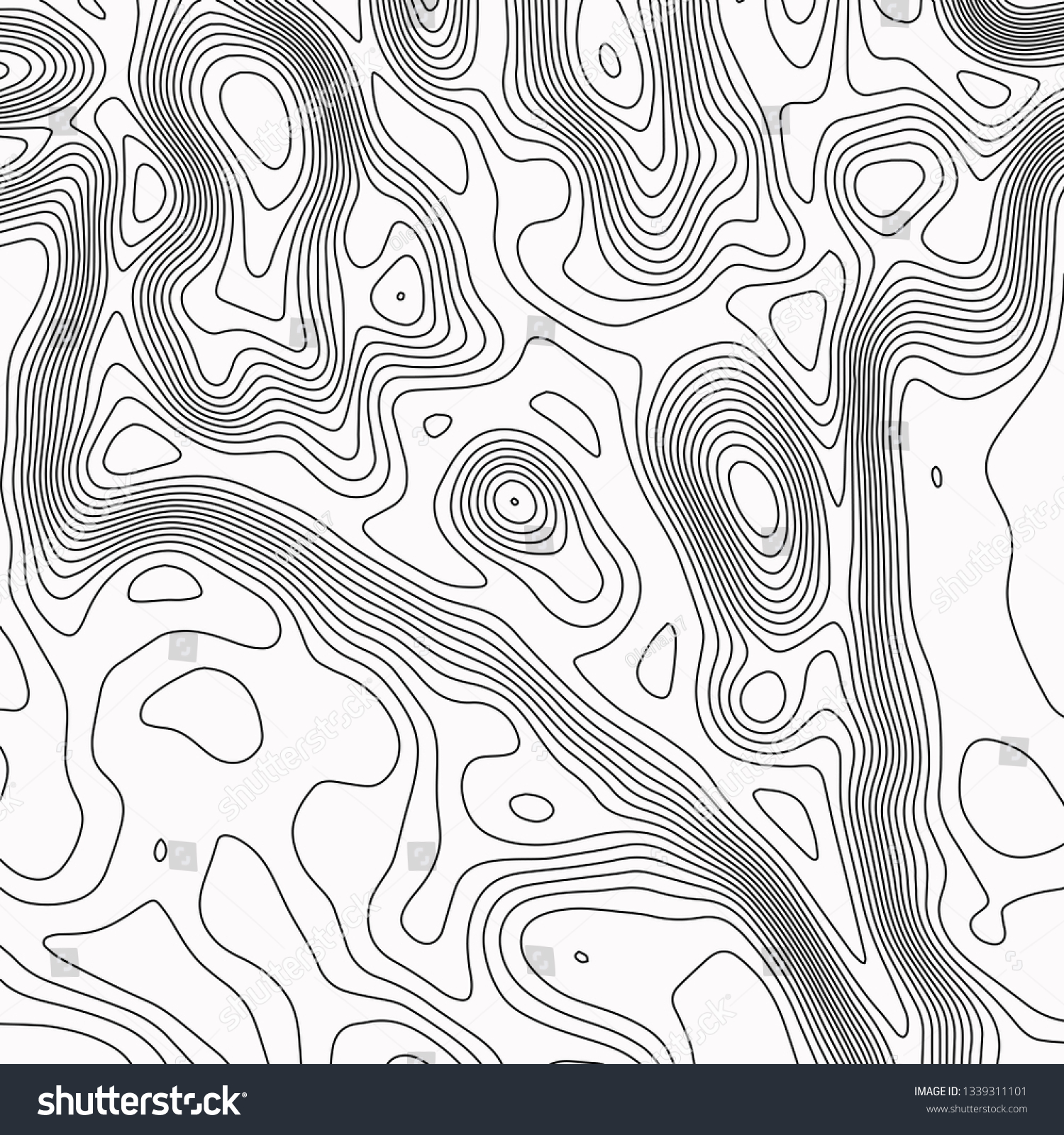 Topographic Map Black Lines On White Stock Vector (Royalty Free ...