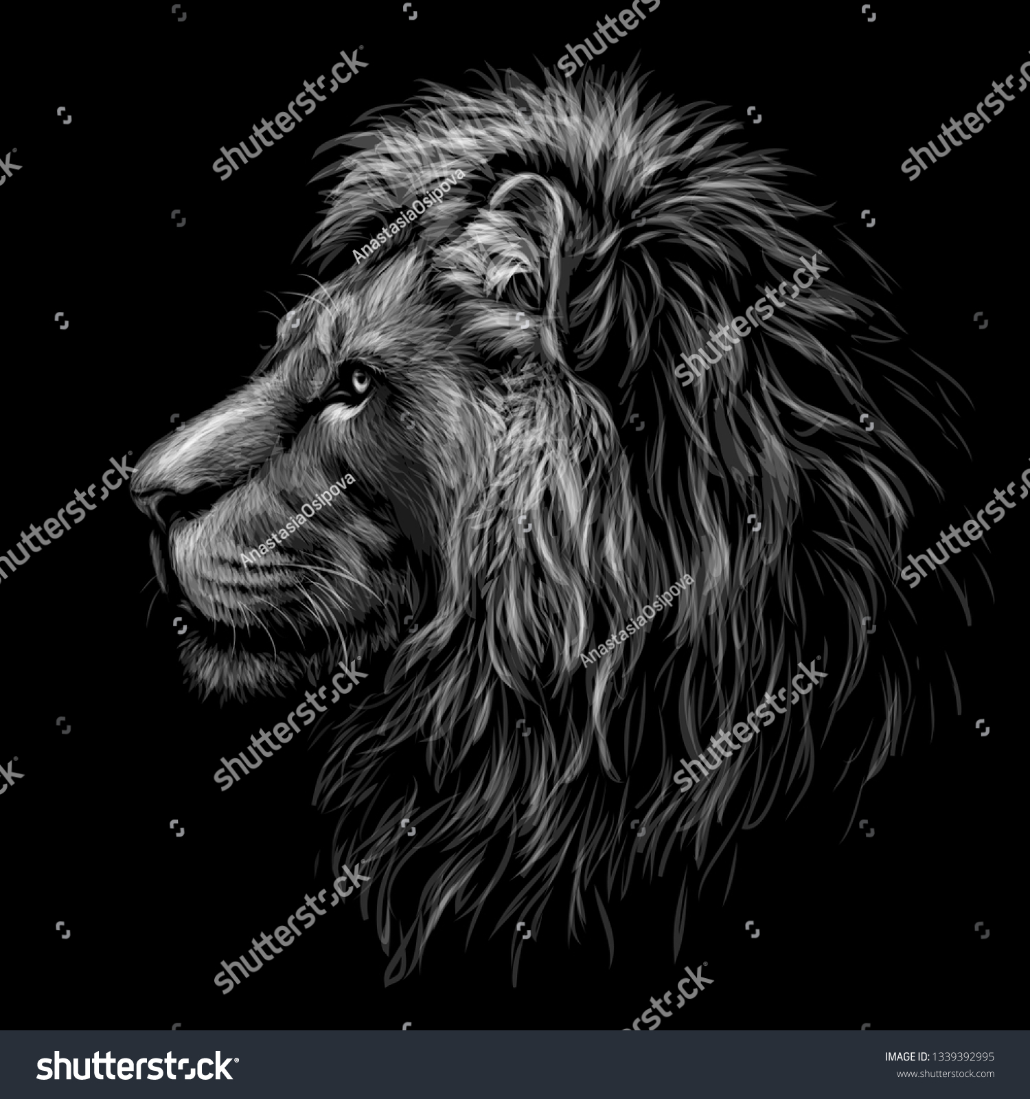 Lion Black White Graphic Portrait Lions Stock Vector (Royalty Free ...