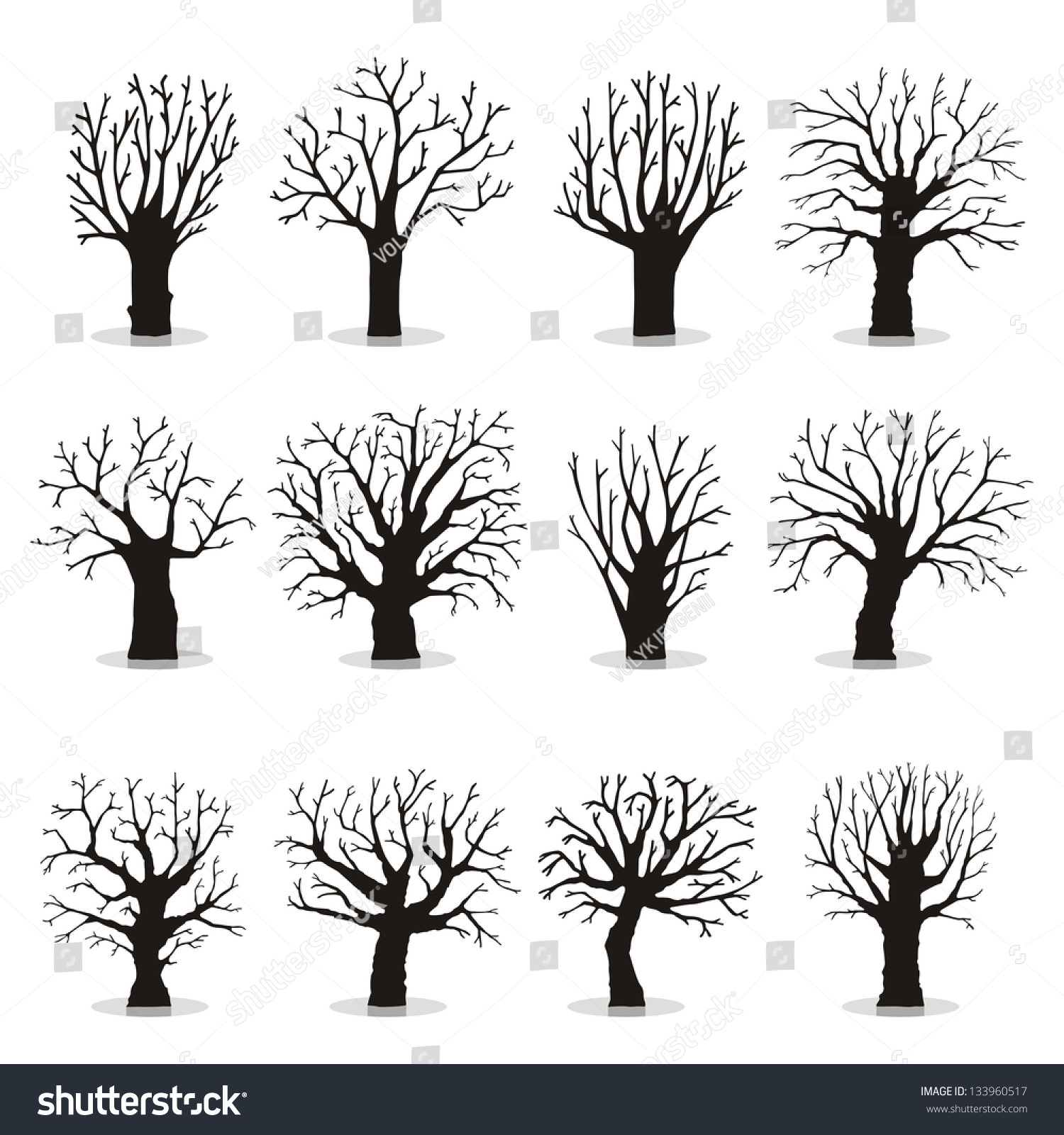 Collection Trees Silhouettes Stock Vector (Royalty Free) 133960517 ...