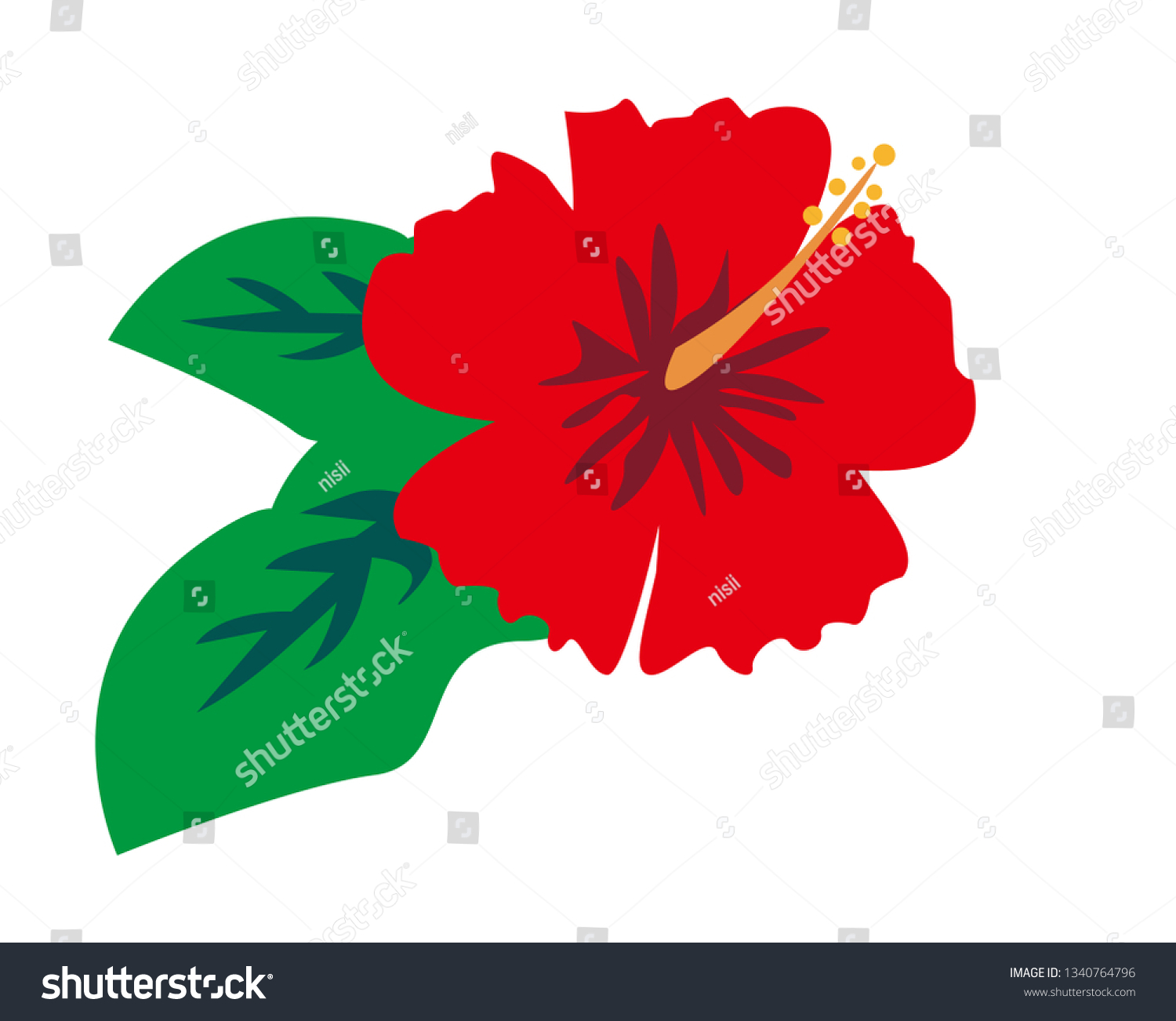 Hibiscus Vector Illustration Stock Vector Royalty Free Shutterstock