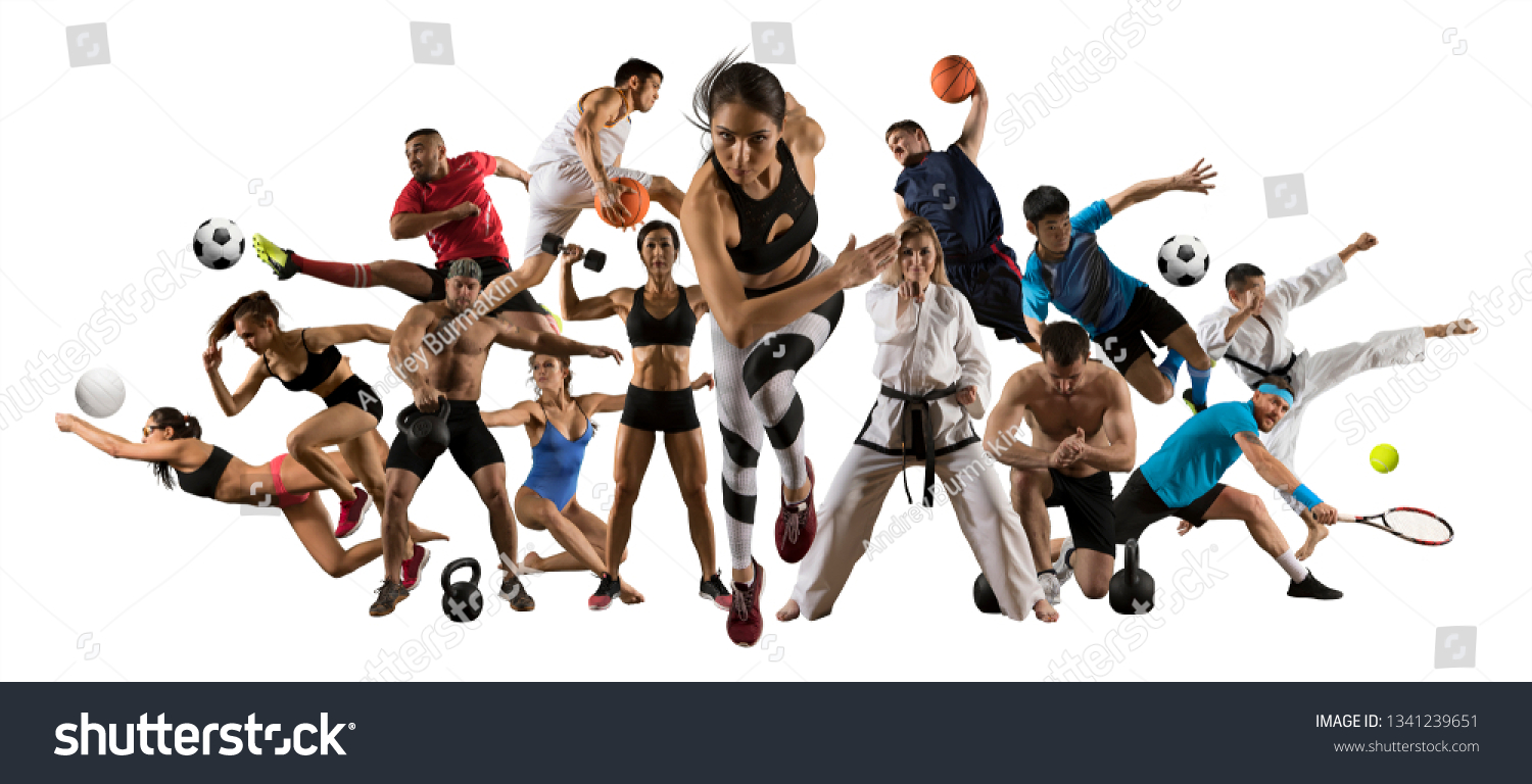 Huge Multi Sports Collage Athletics Taekwondo Stock Photo Shutterstock