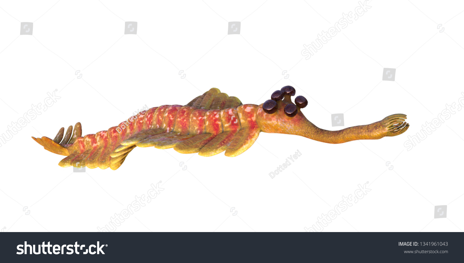 Opabinia Regalis Prehistoric Aquatic Animal Cambrian Stock Illustration ...