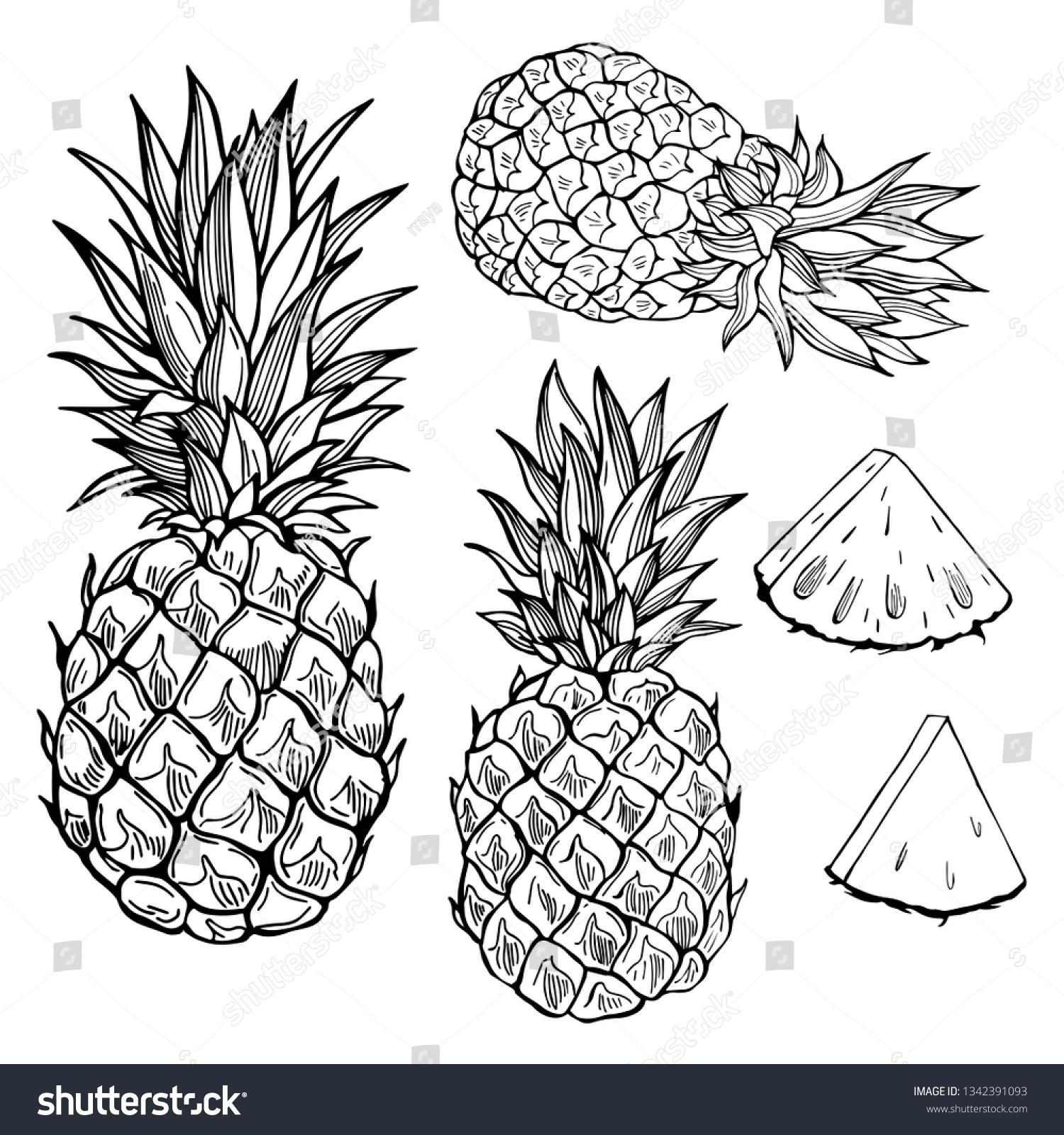 Hand Drawn Fruits On White Background Stock Vector (Royalty Free ...