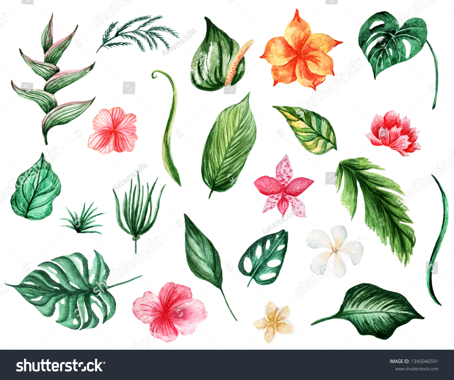 Watercolor Hand Drawn Tropical Plants Collection Stock Illustration 1345046591 Shutterstock 