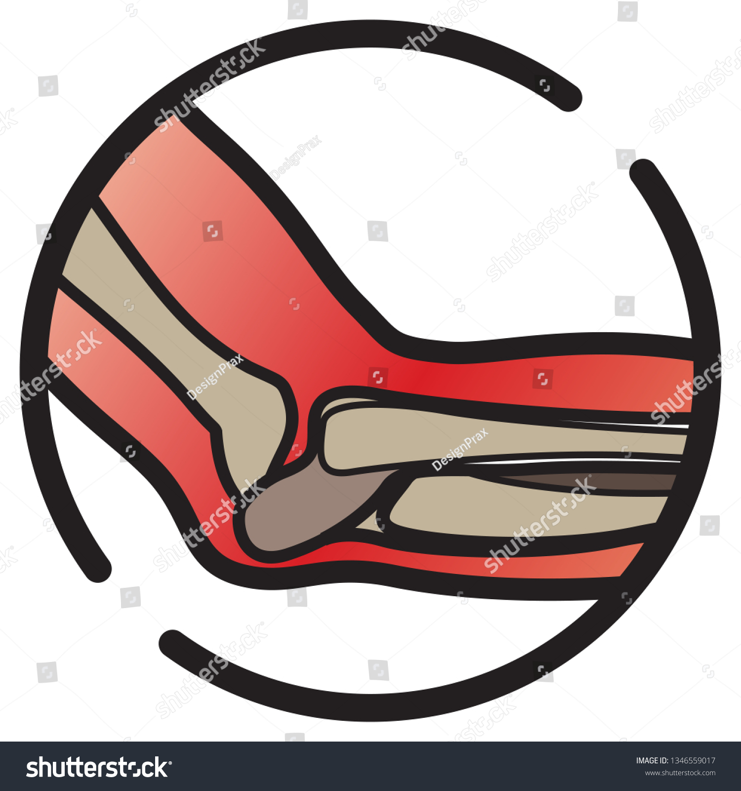 Elbow Bone Icon Eps 10 File Stock Vector Royalty Free 1346559017 Shutterstock