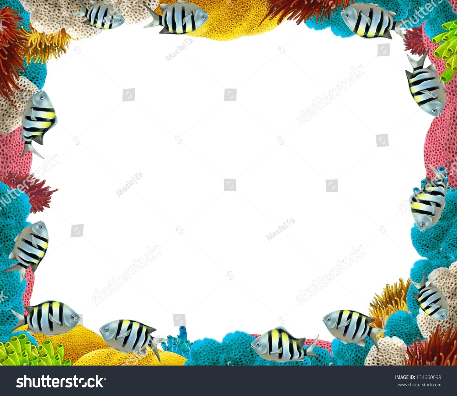 Coral Reef Frame Border Illustration Children Stock Illustration ...