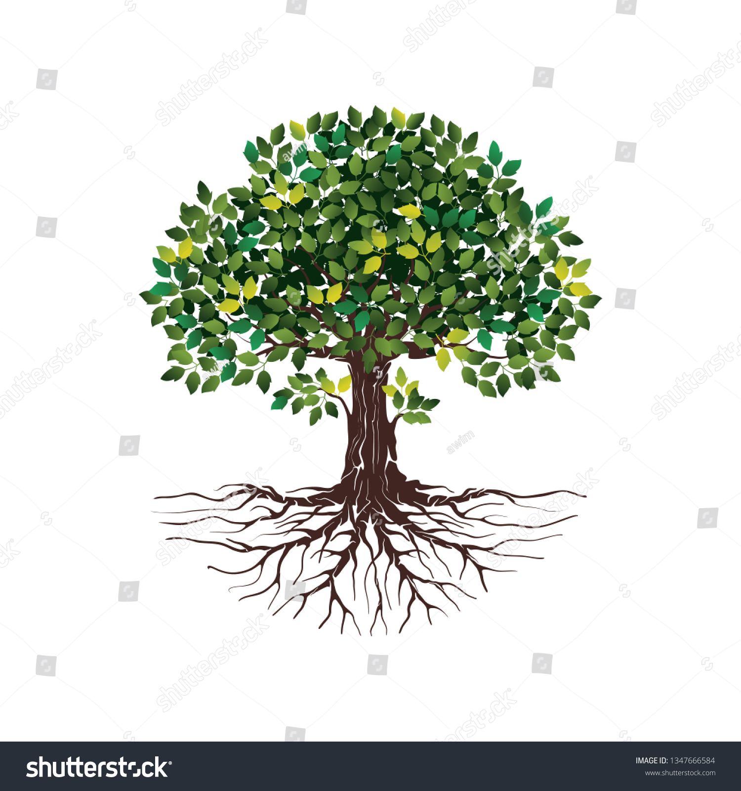 Vector Illustration Tree Shape Roots Green Stock Vector (Royalty Free ...