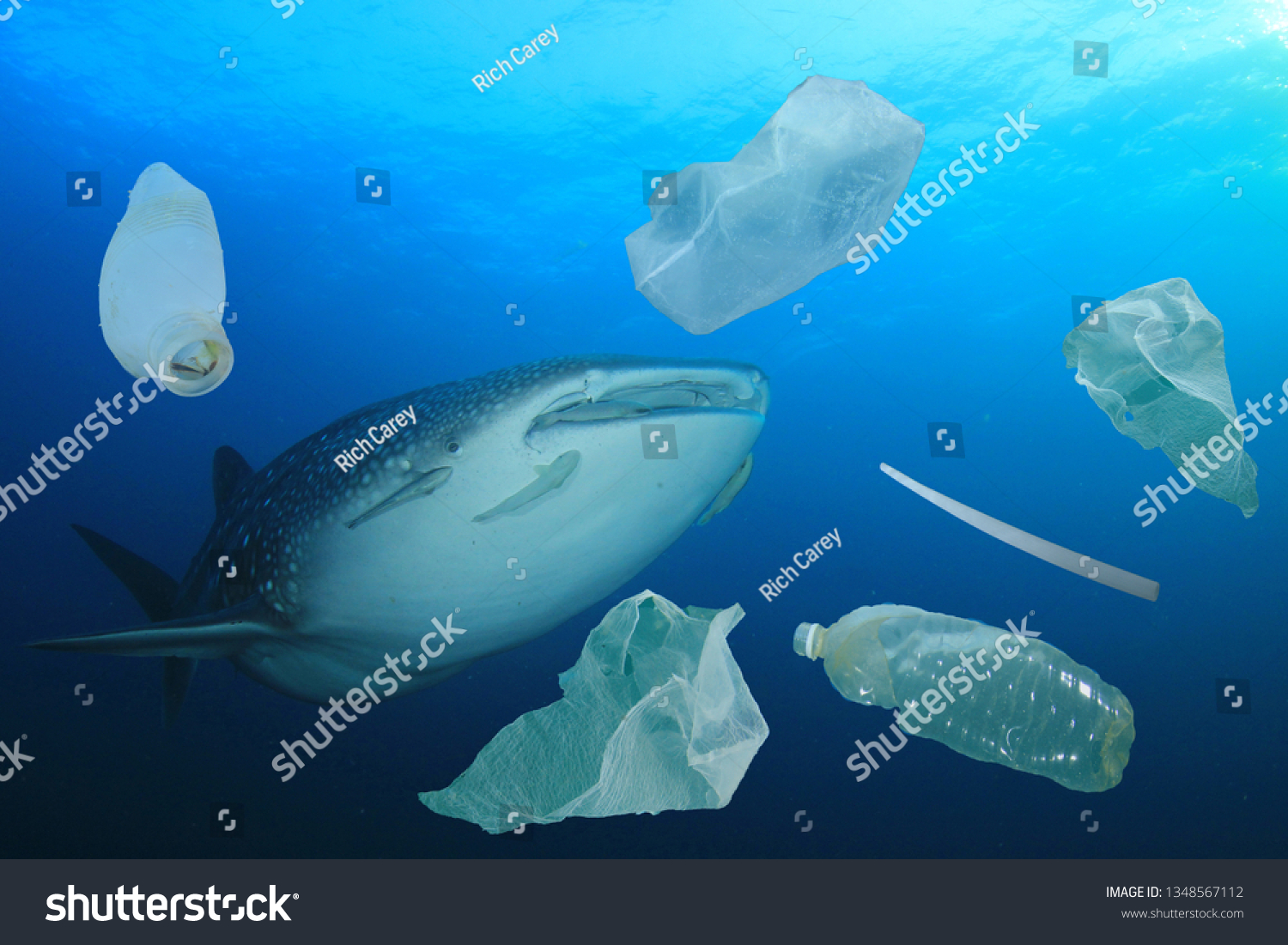 Plastic Ocean Pollution Whale Shark Filter Stock Photo 1348567112 ...