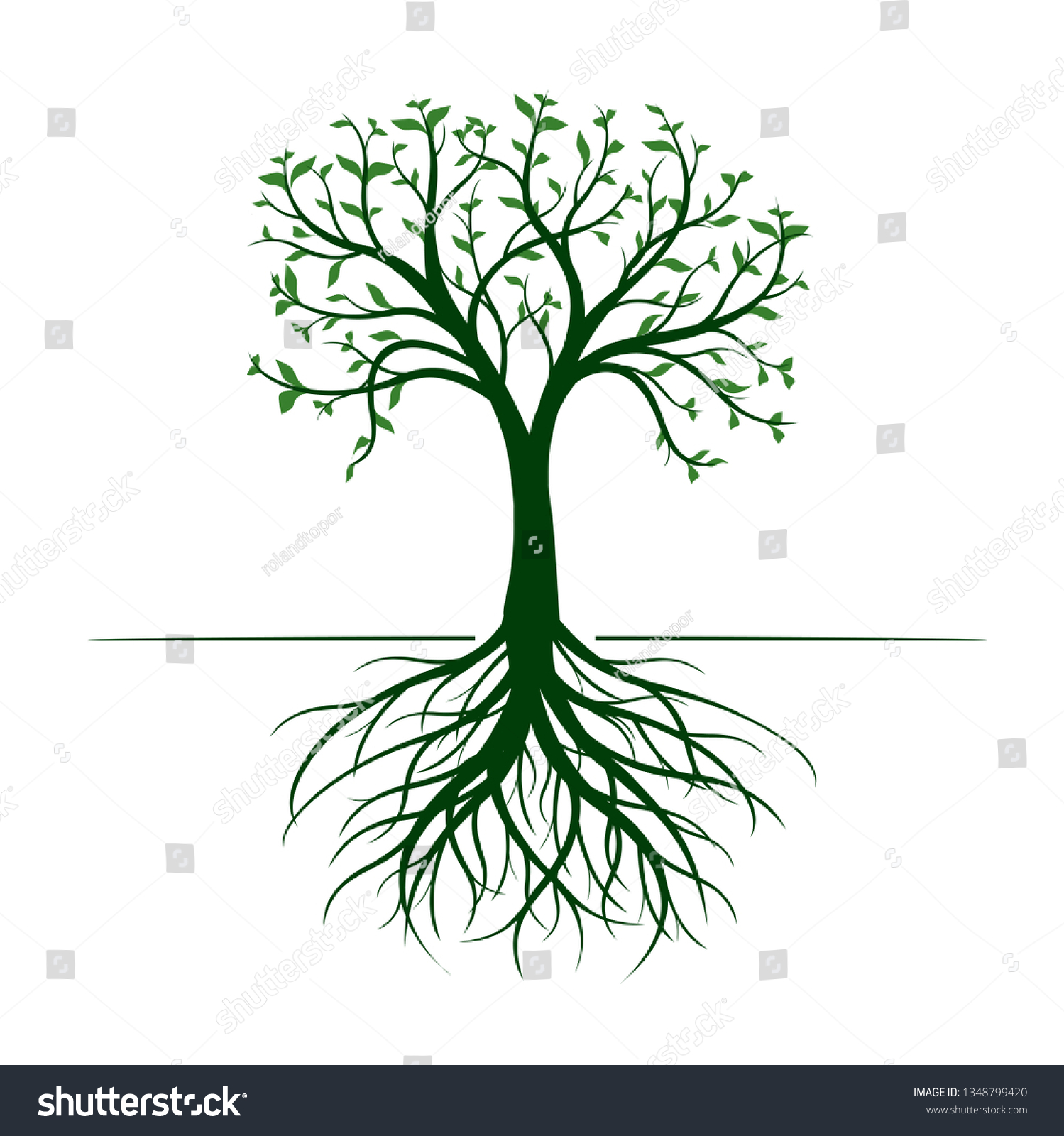 Green Tree Leaves Rootson White Background Stock Vector (Royalty Free ...