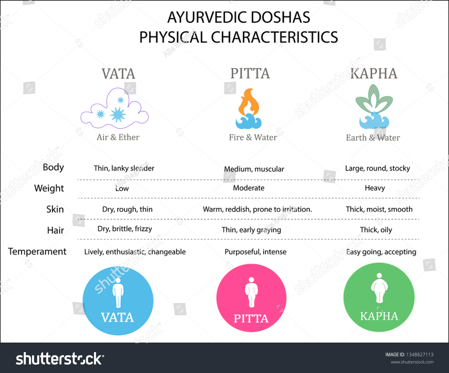 Ayurvedic Doshas Characteristics Vata Dosha Pitta: stockvect