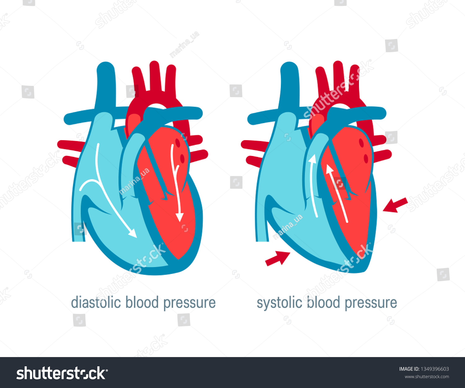 diastolic-systolic-blood-pressure-vector-illustration-stock-vector