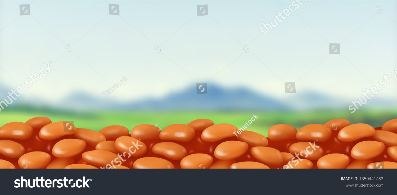 Baked Beans Tomato Sauce Vector Background Stock Vector Royalty Free 1350441482 Shutterstock