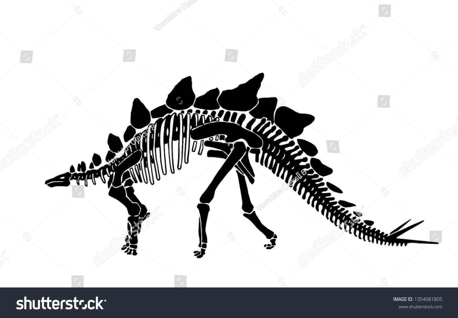 Graphical Skeleton Stegosaurus Isolated On White Stock Vector (Royalty ...