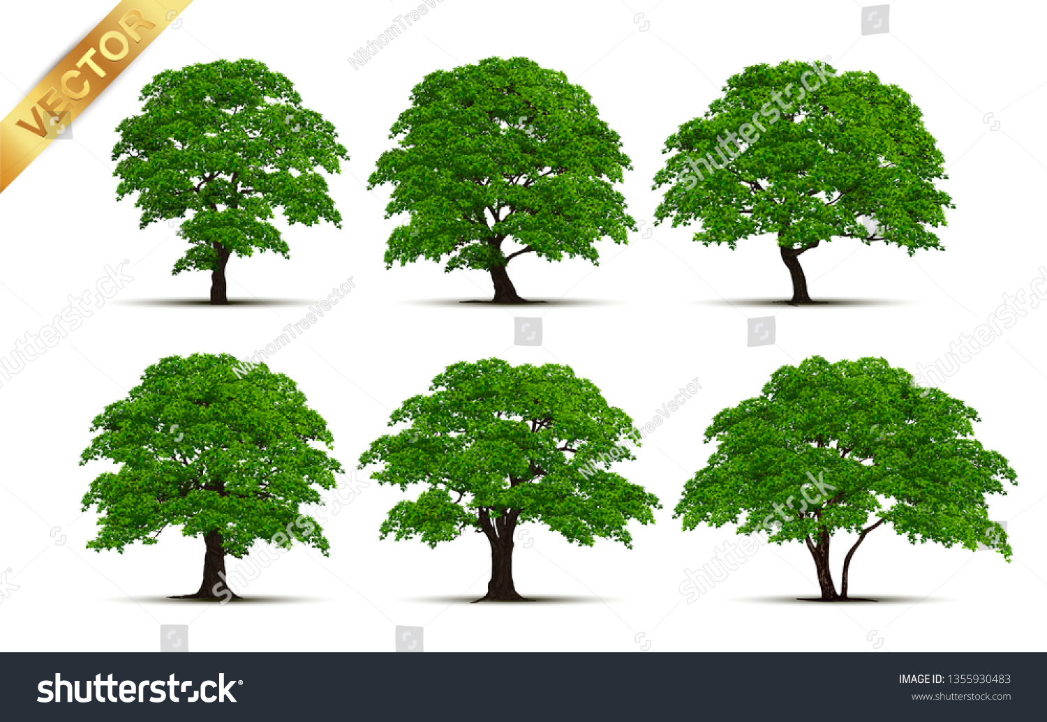 Collection Realistic Trees Isolated On White Stock Vector (Royalty Free ...