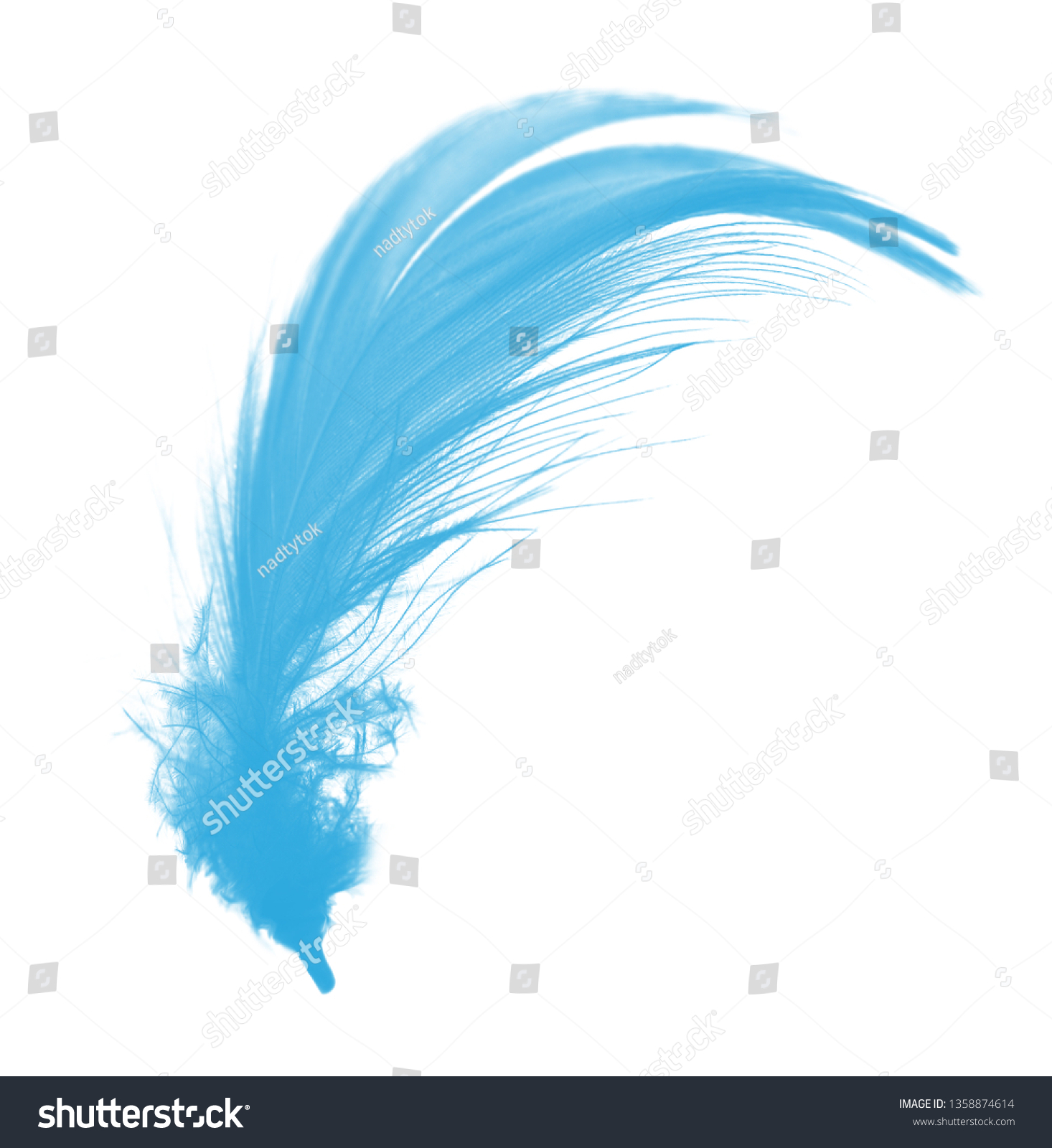 blue peacock feather clip art