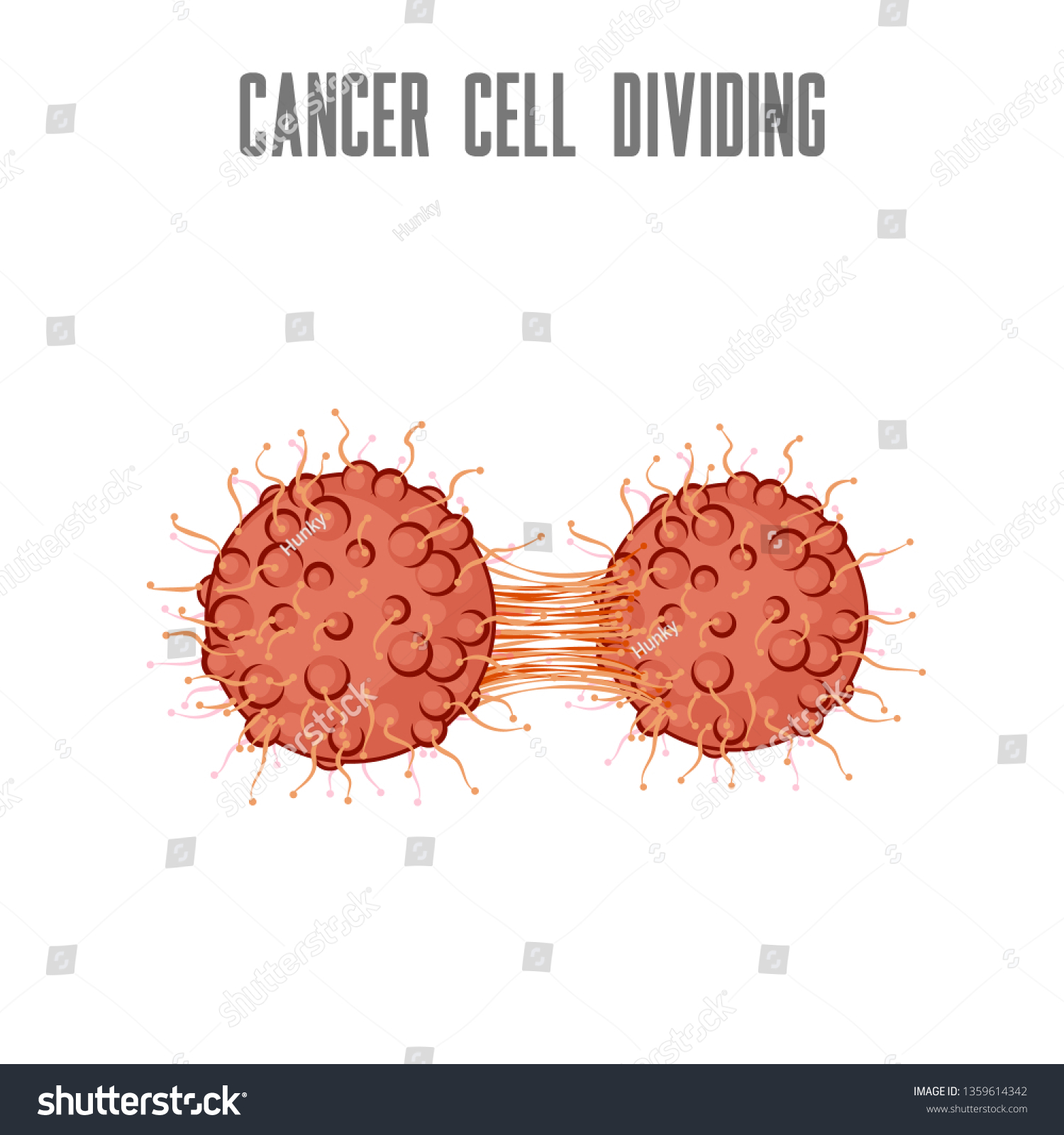 Cancer Cell Dividing Vector Isolated Microscopic Stock Vector (Royalty ...