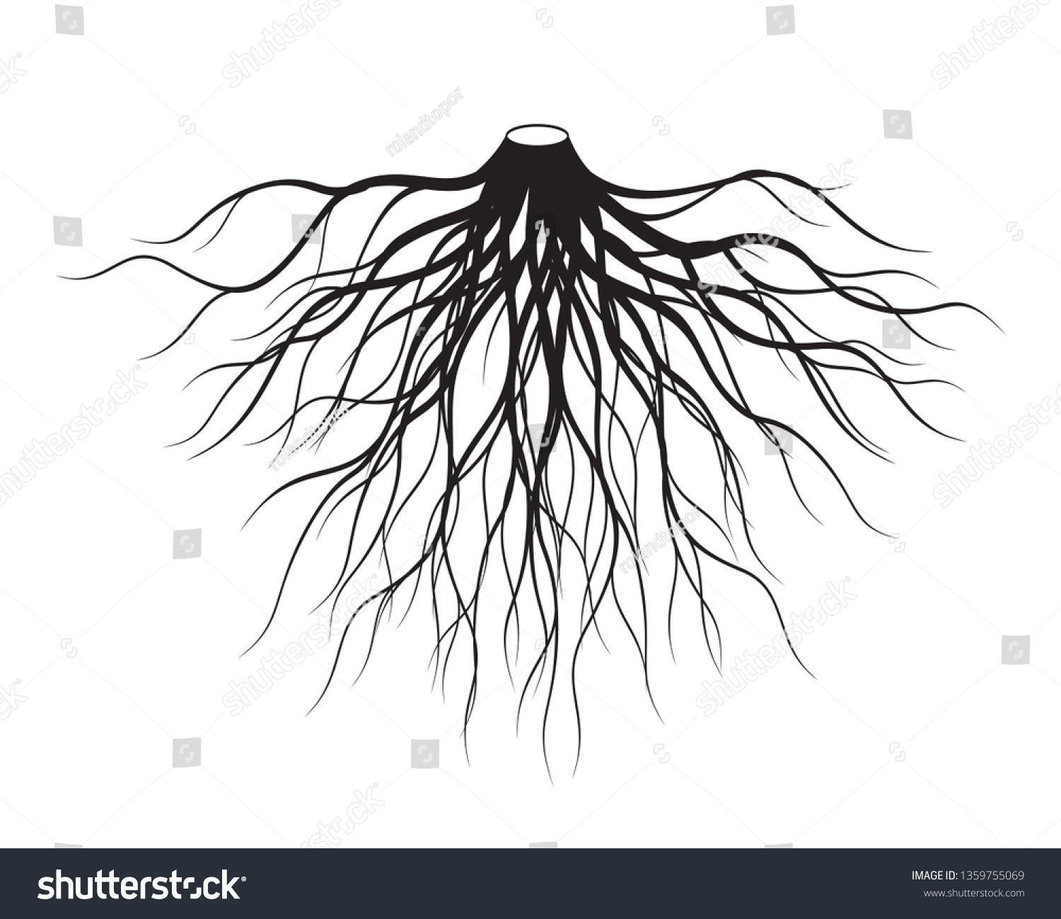 Black Roots Tree Vector Illustration Plant Stock Vector (Royalty Free ...