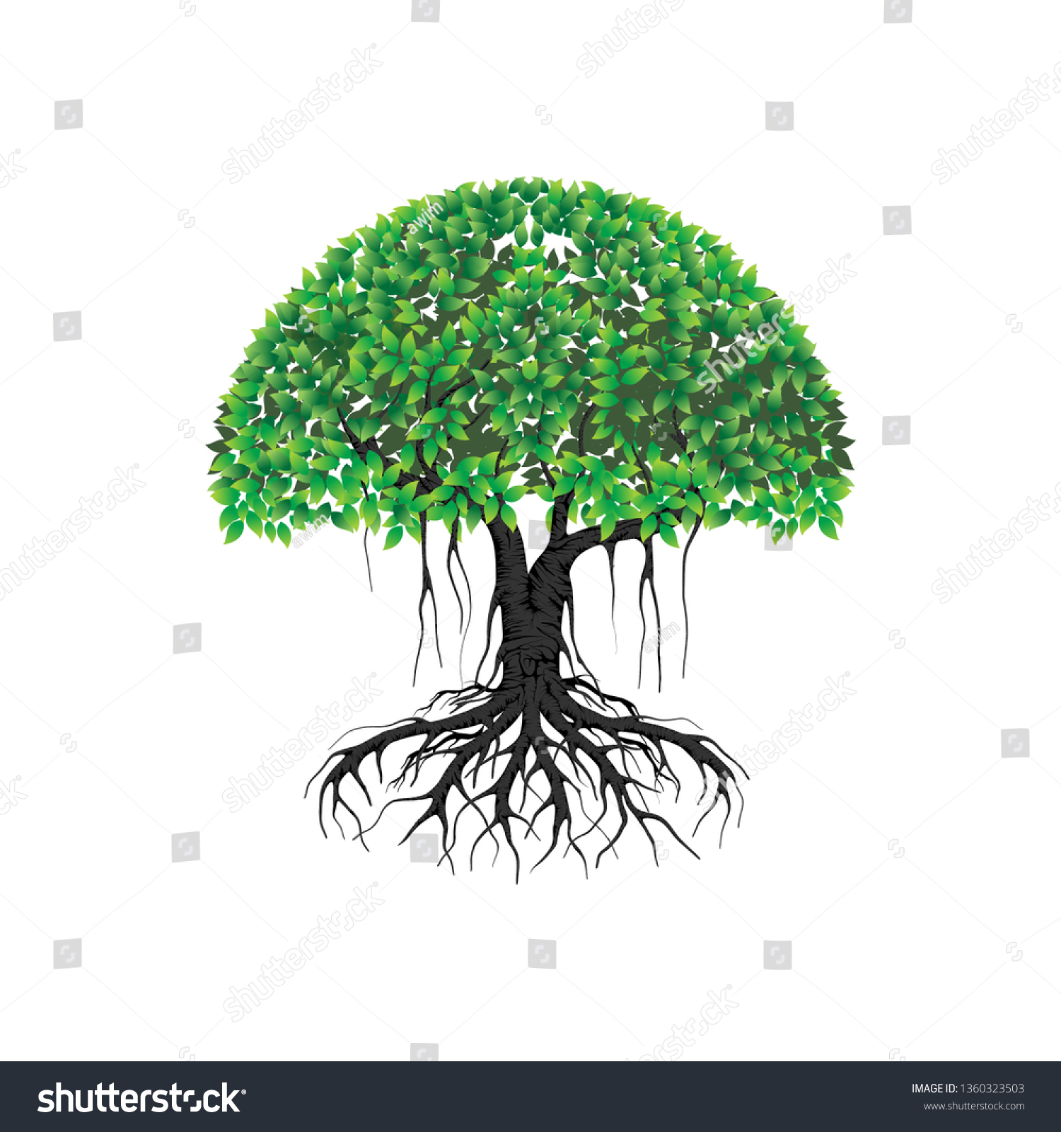 Tree Vector Illustrations Roots Mangrove Tree Stock Vector (Royalty ...