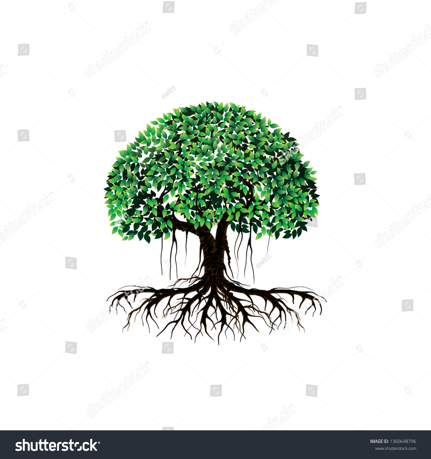 Mangrove Tree Vector Illustrations Tree Logo Stock Vector (Royalty Free ...