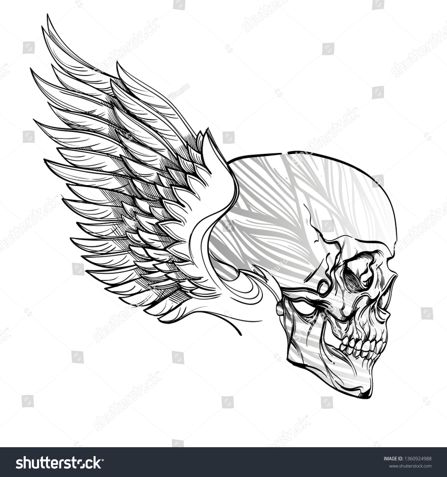 Winged Skull Ornament Linear Style On Stock Vector (royalty Free 