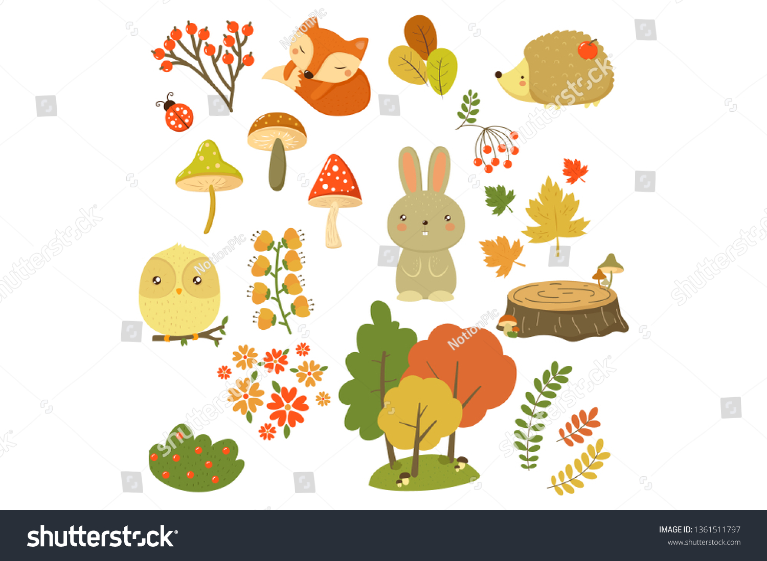 Autumn Forest Elements Set Forest Animals Stock Vector (Royalty Free ...
