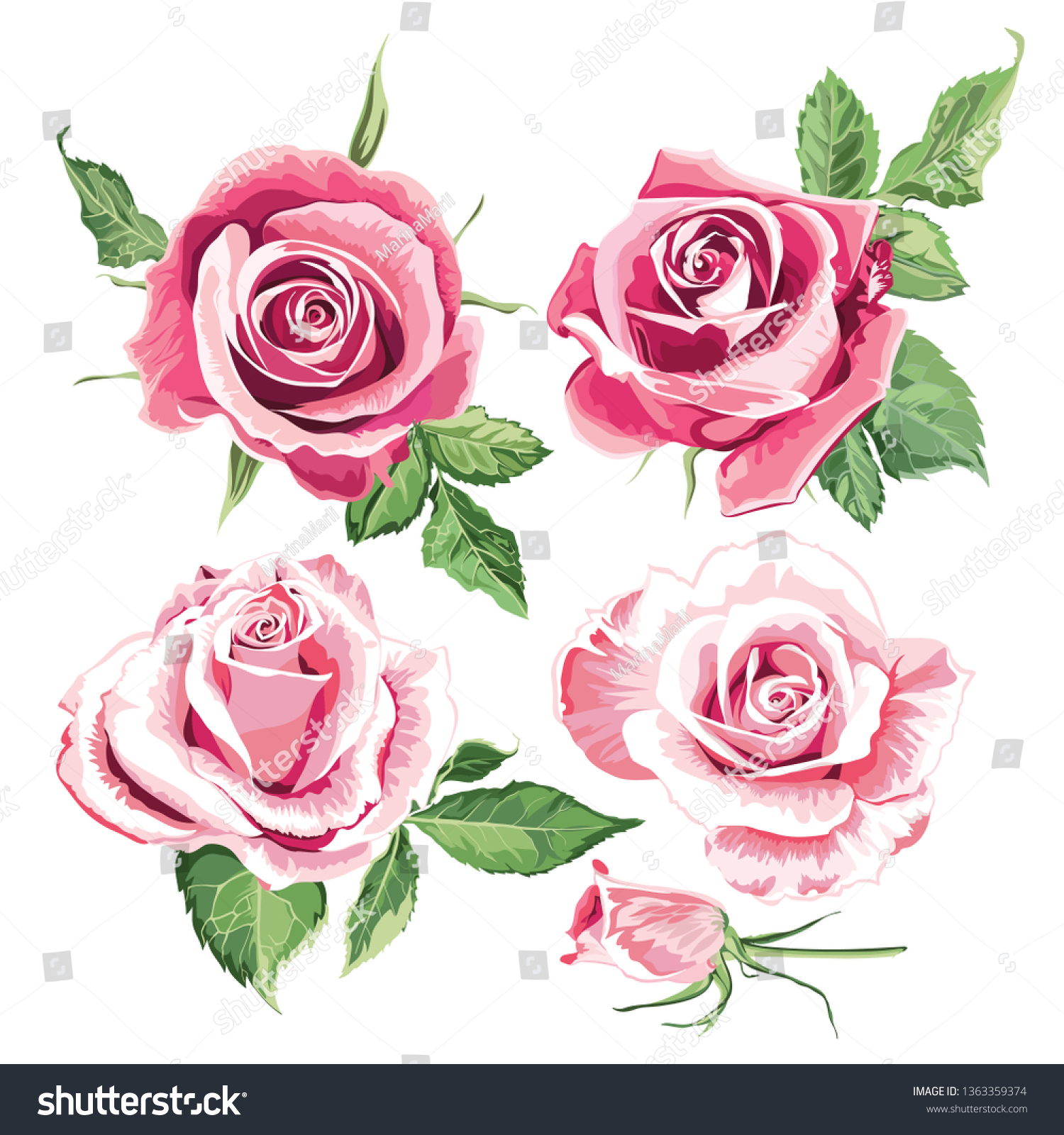 Pink Beautiful Roses Stock Vector (Royalty Free) 1363359374 | Shutterstock