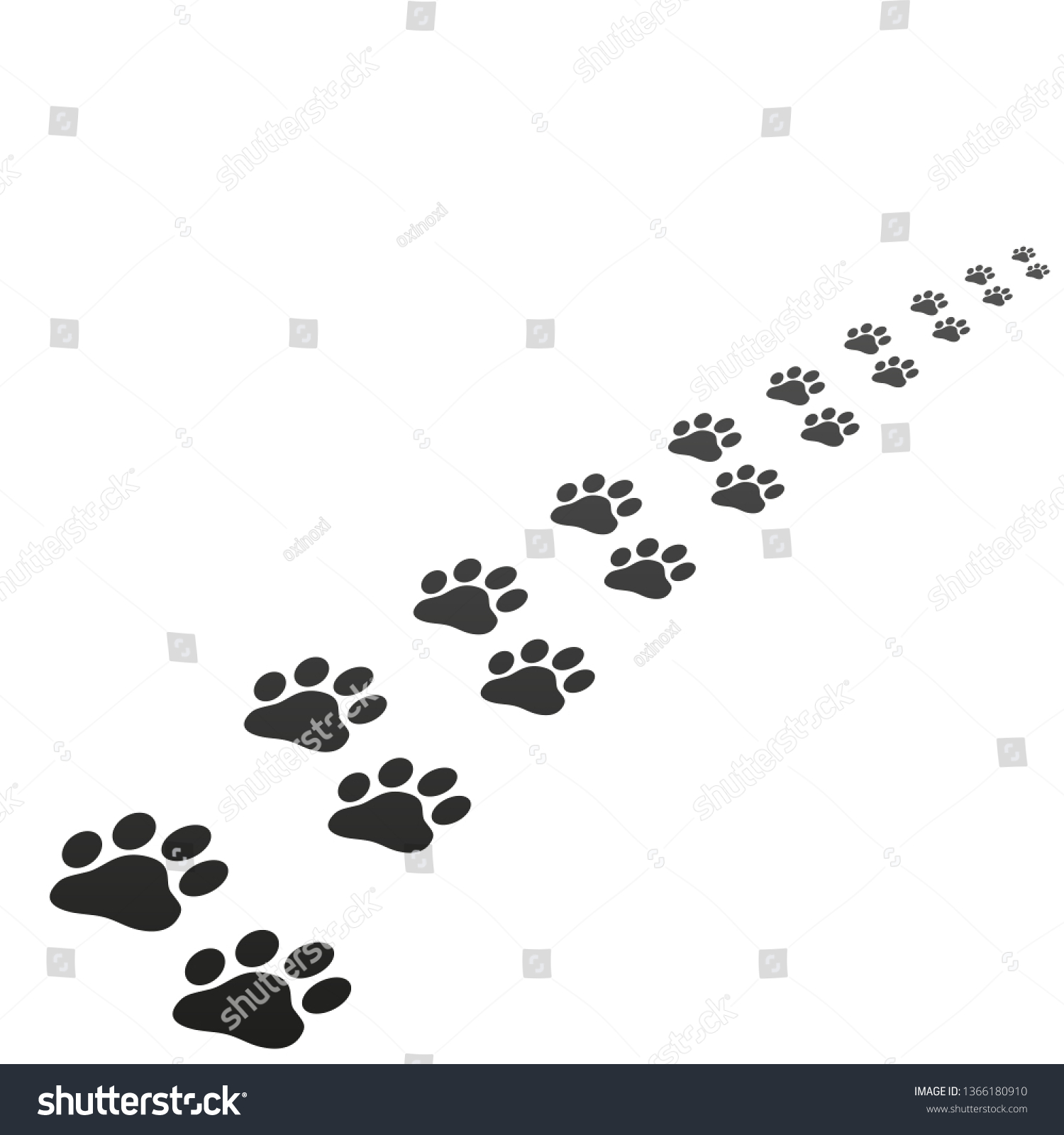 Animal Paw Print Trace Isolated Vector Stock Vector (Royalty Free ...