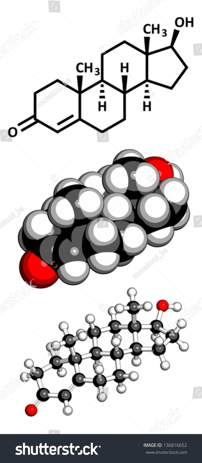 Testosterone Male Sex Hormone Molecular Model Stock Vector Royalty