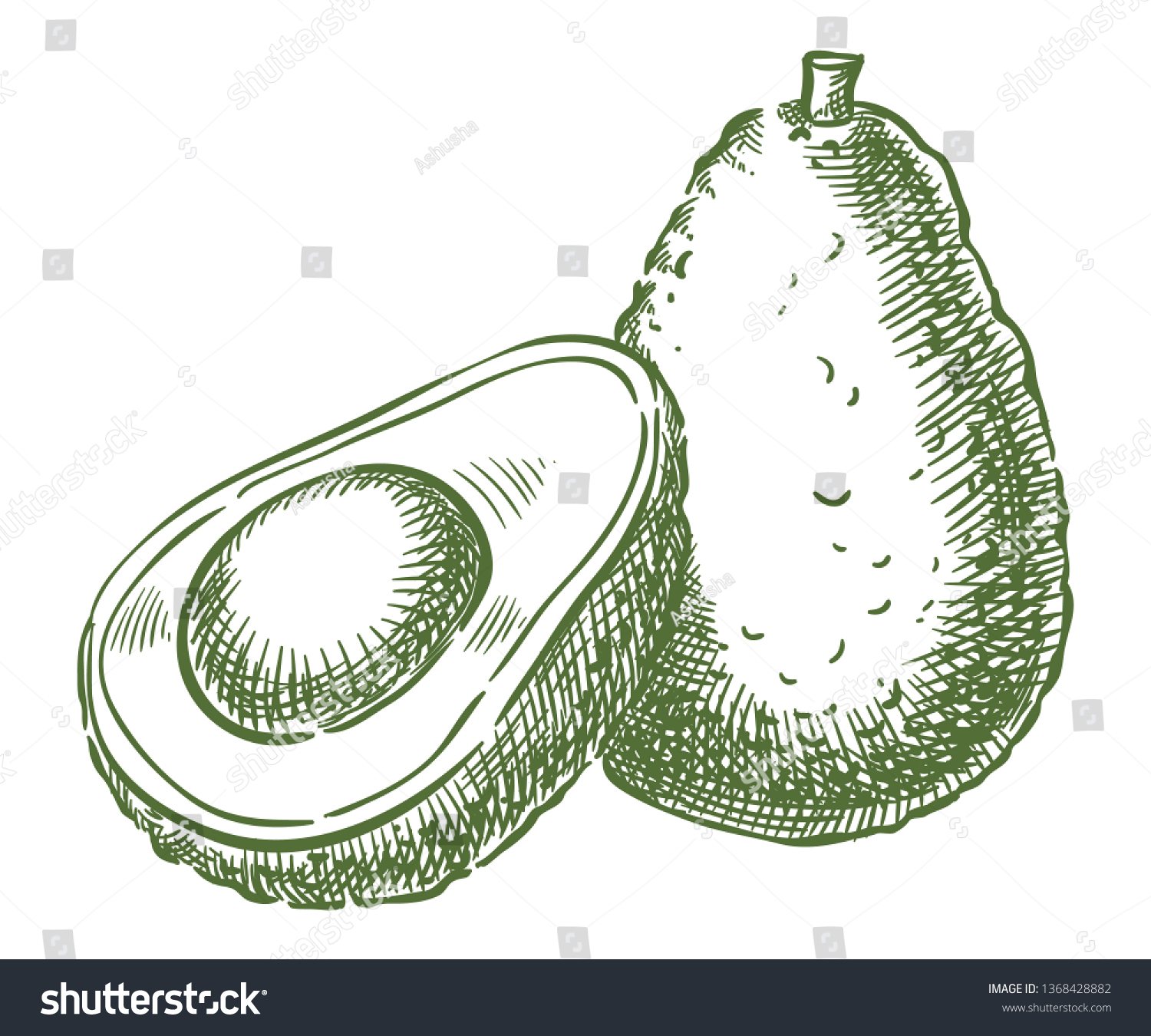 Авокадо контурный рисунок